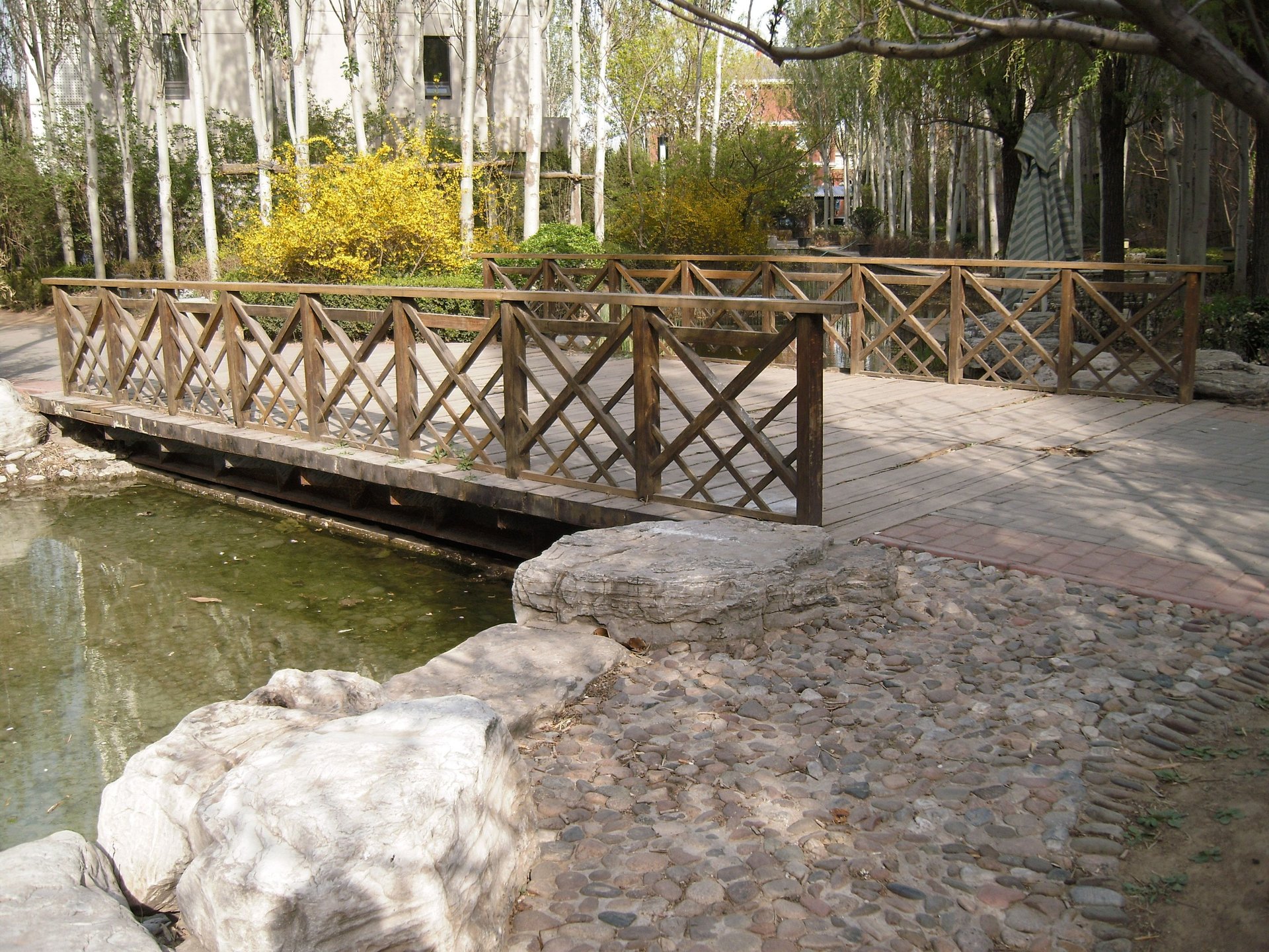 塞纳维拉 environment