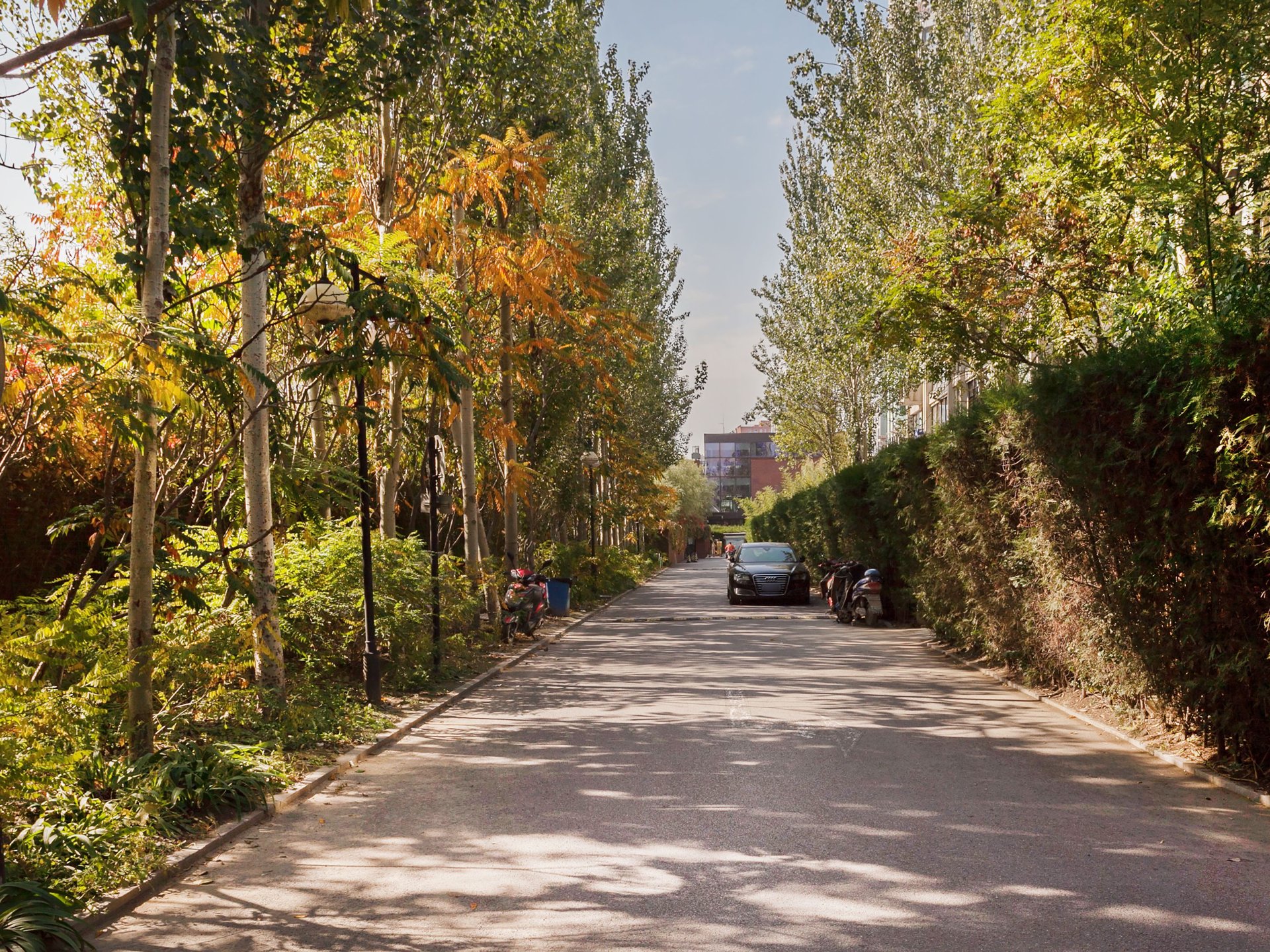 塞纳维拉 environment