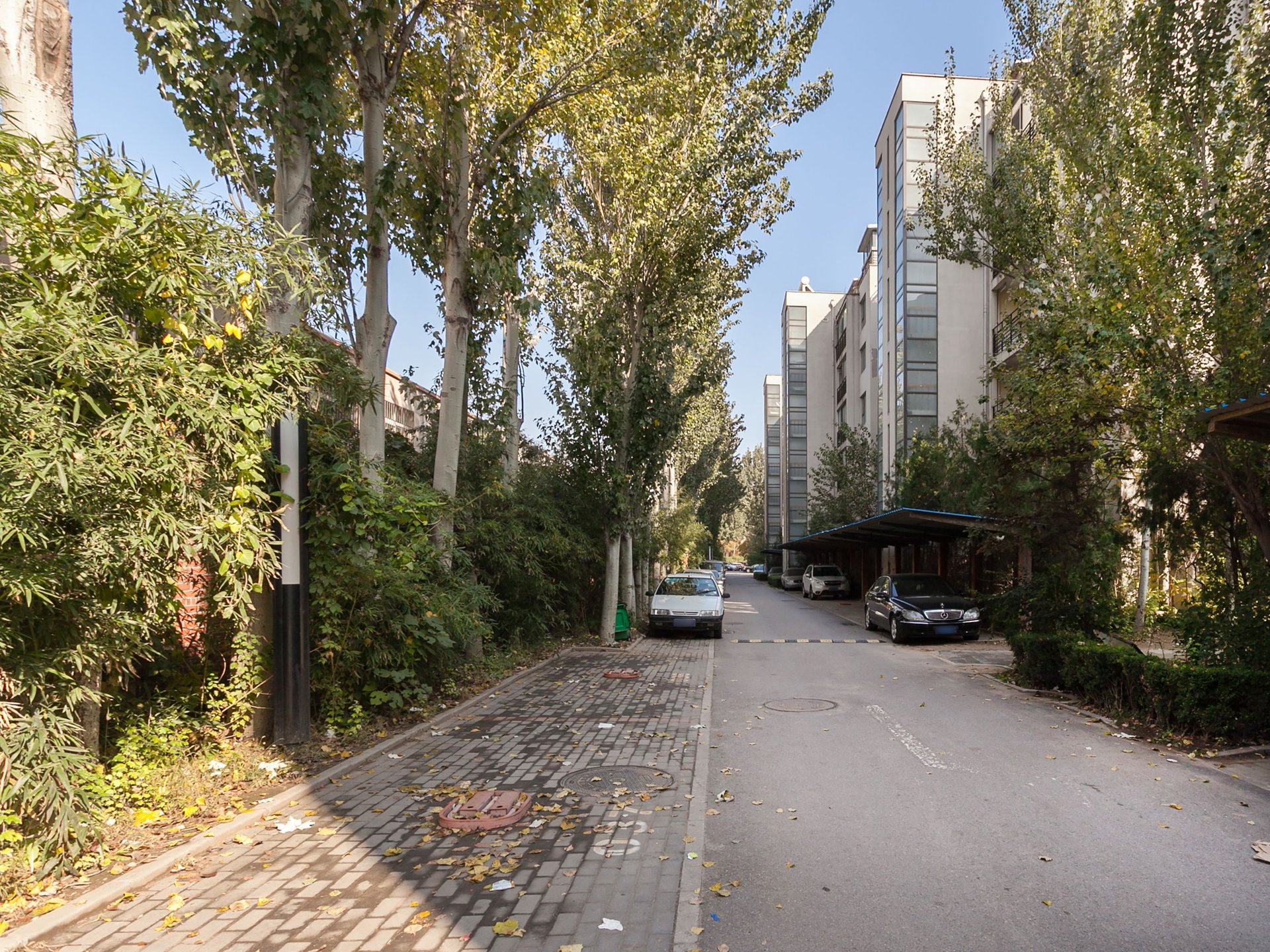 塞纳维拉 environment