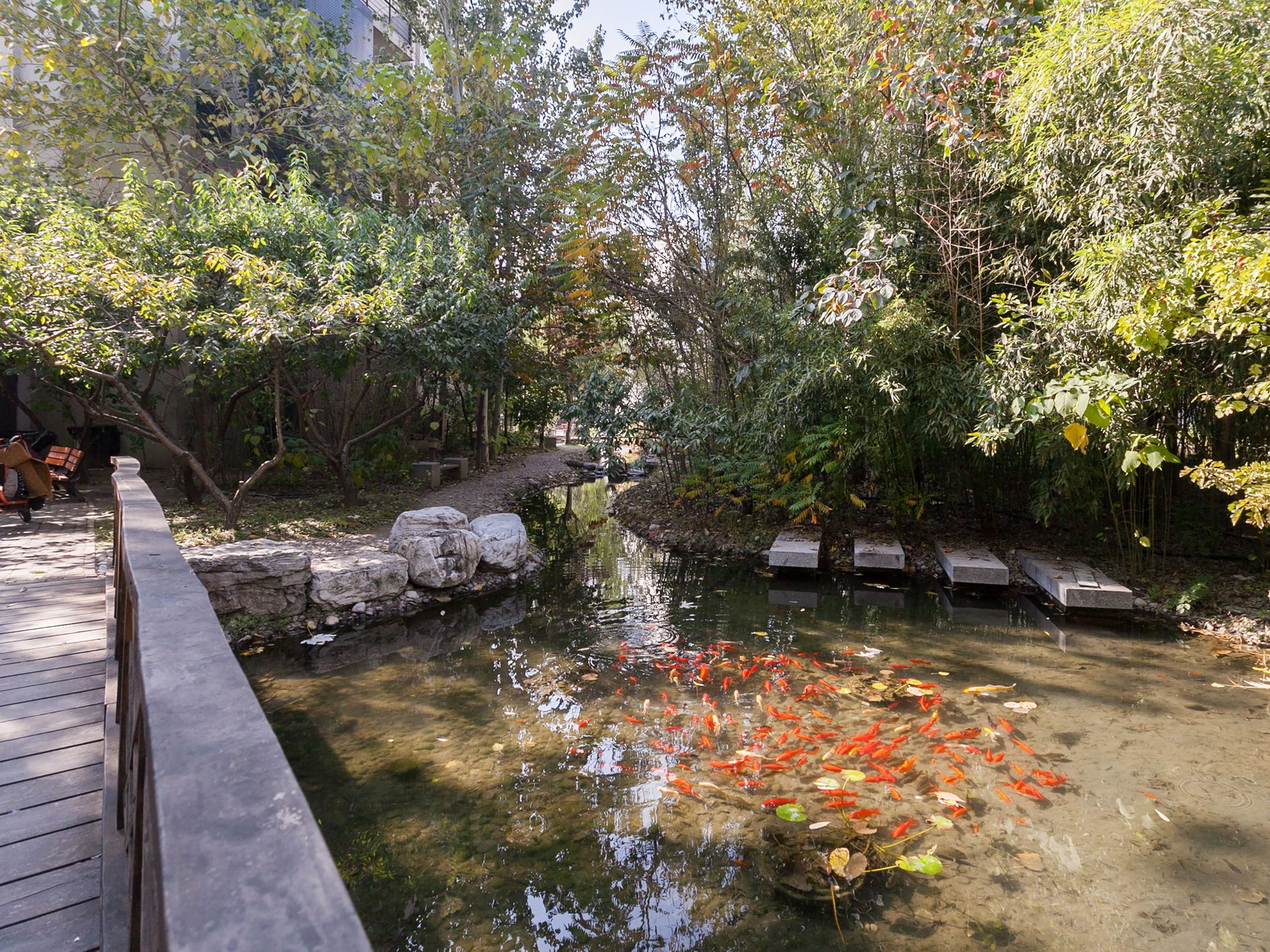 塞纳维拉 environment