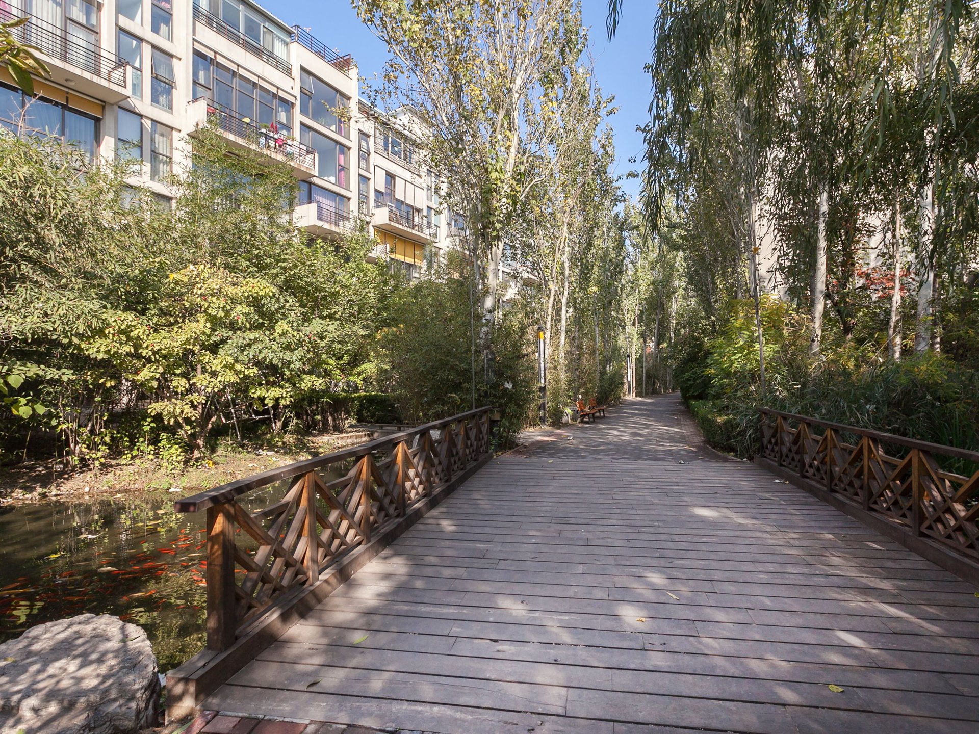 塞纳维拉 environment