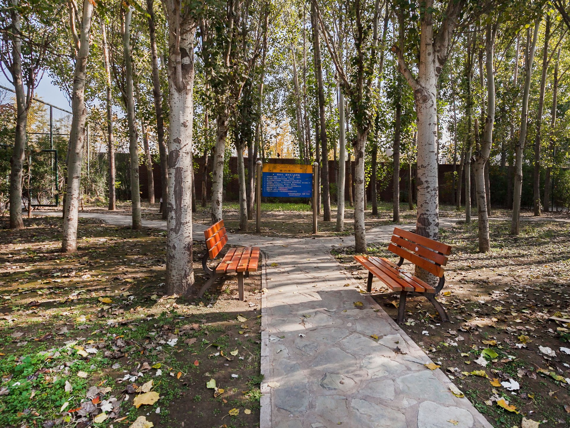 塞纳维拉 environment