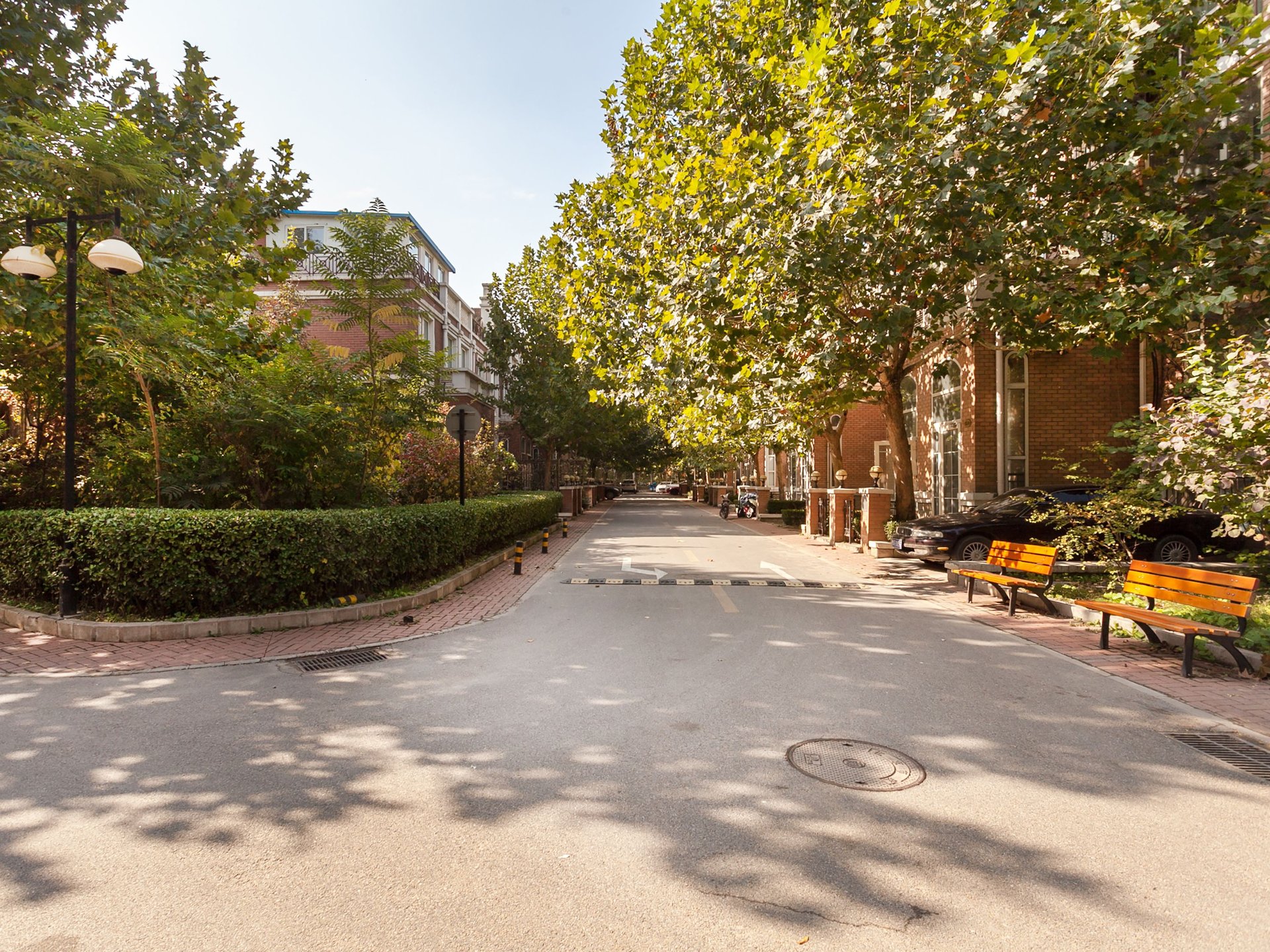 塞纳维拉 environment