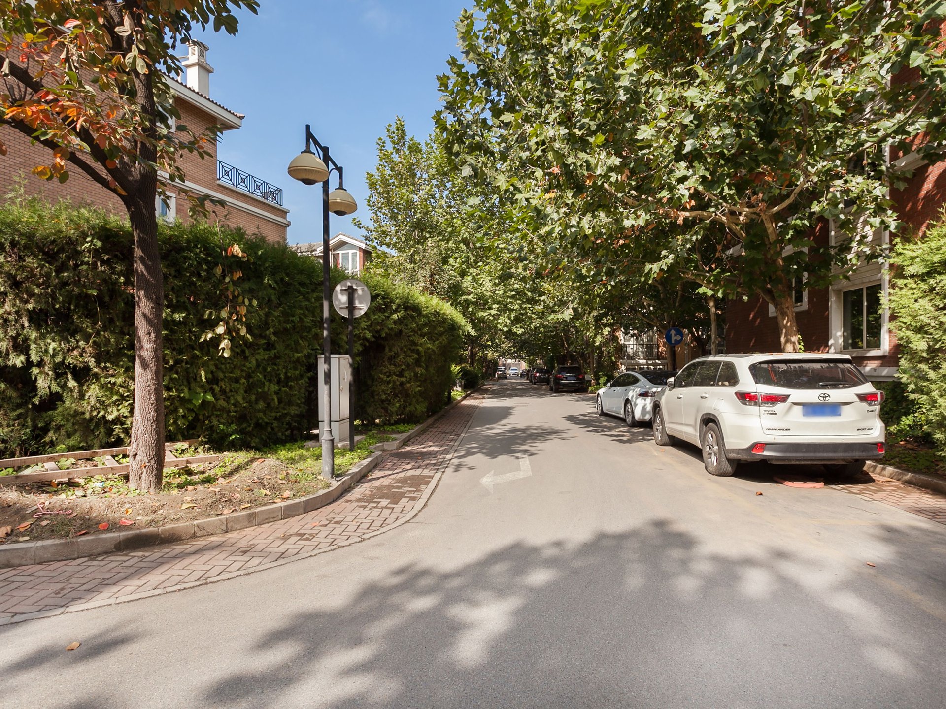 塞纳维拉 environment