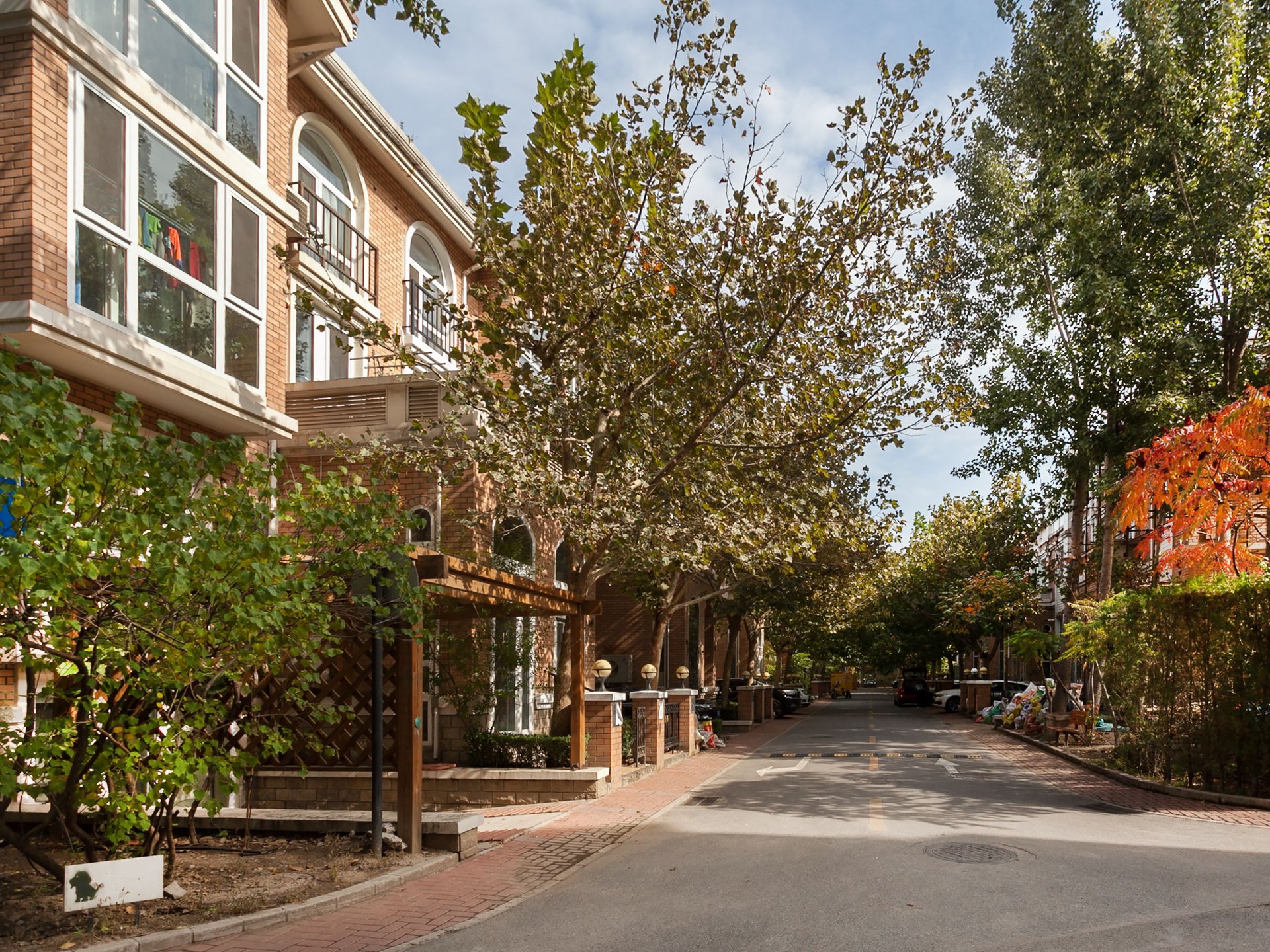 塞纳维拉 environment