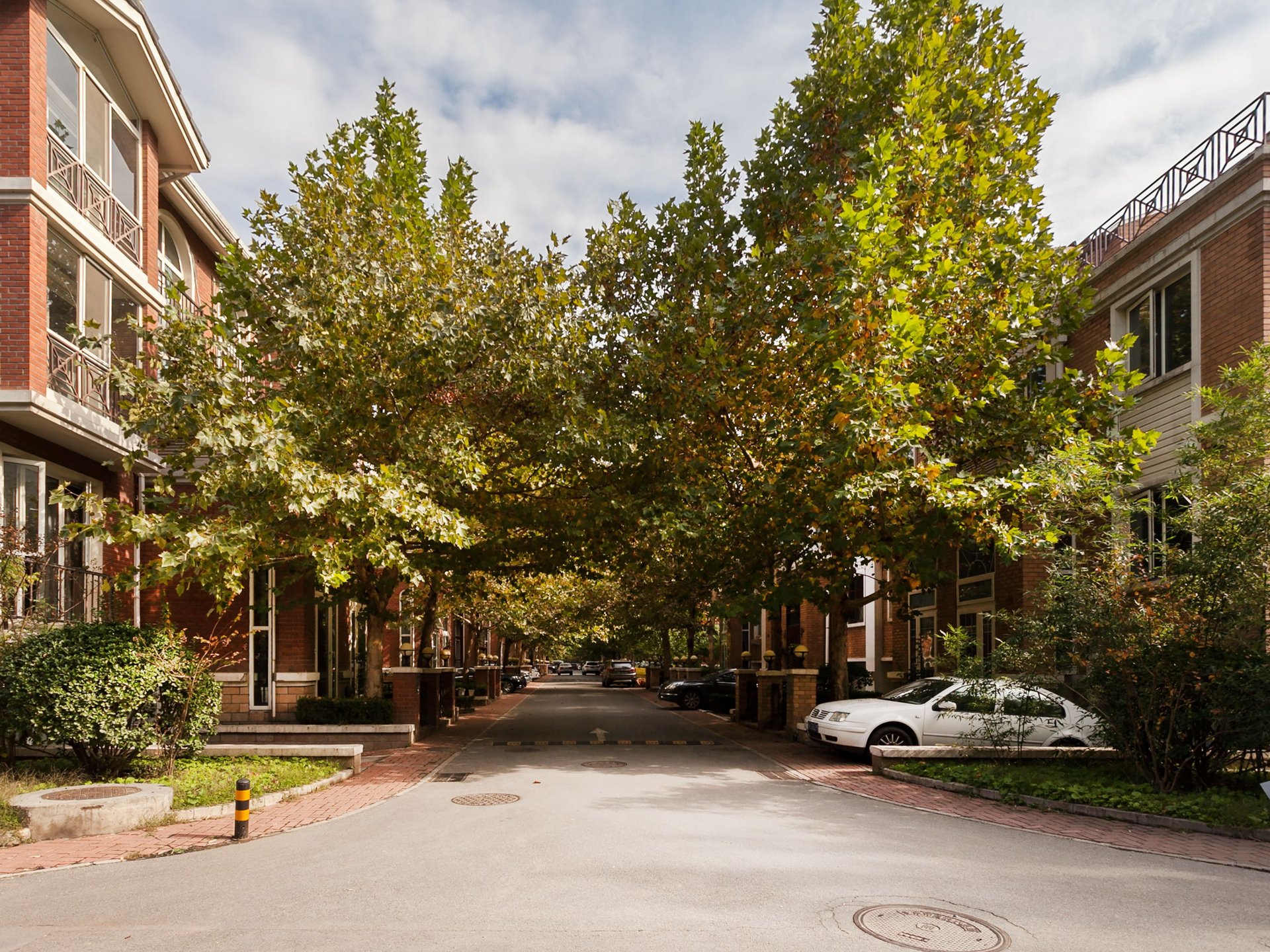 塞纳维拉 environment