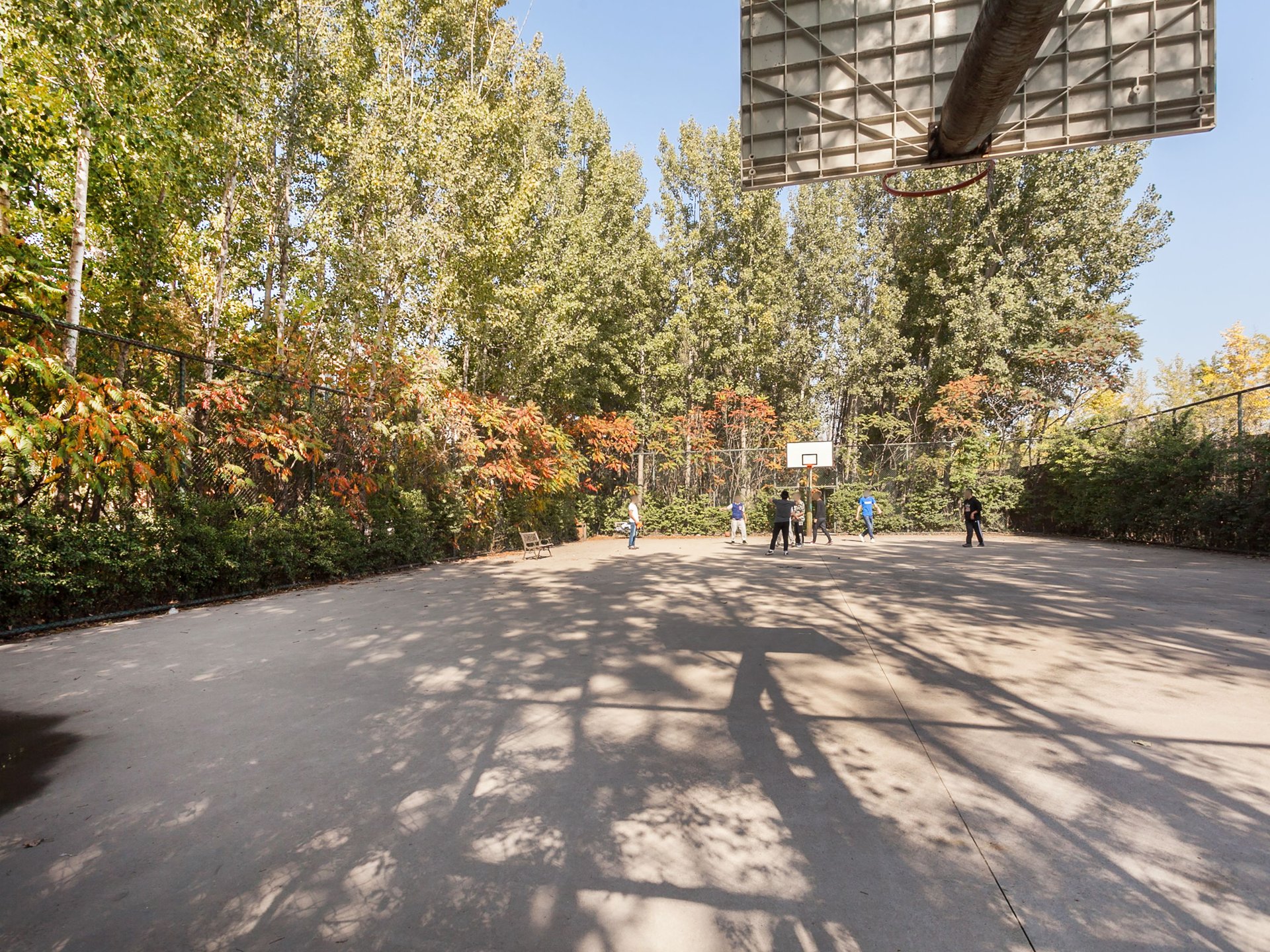 塞纳维拉 environment