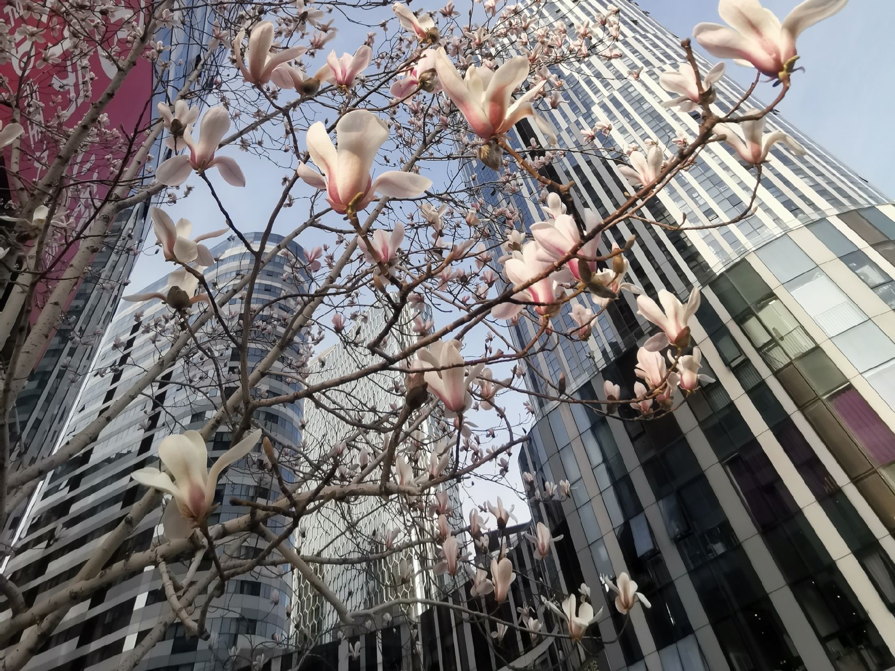 三里屯SOHO environment