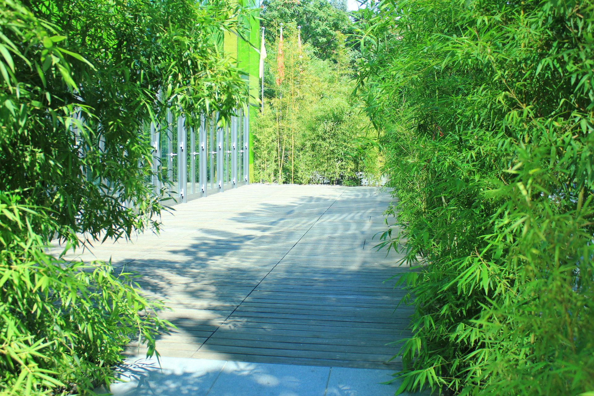 三里屯北 environment