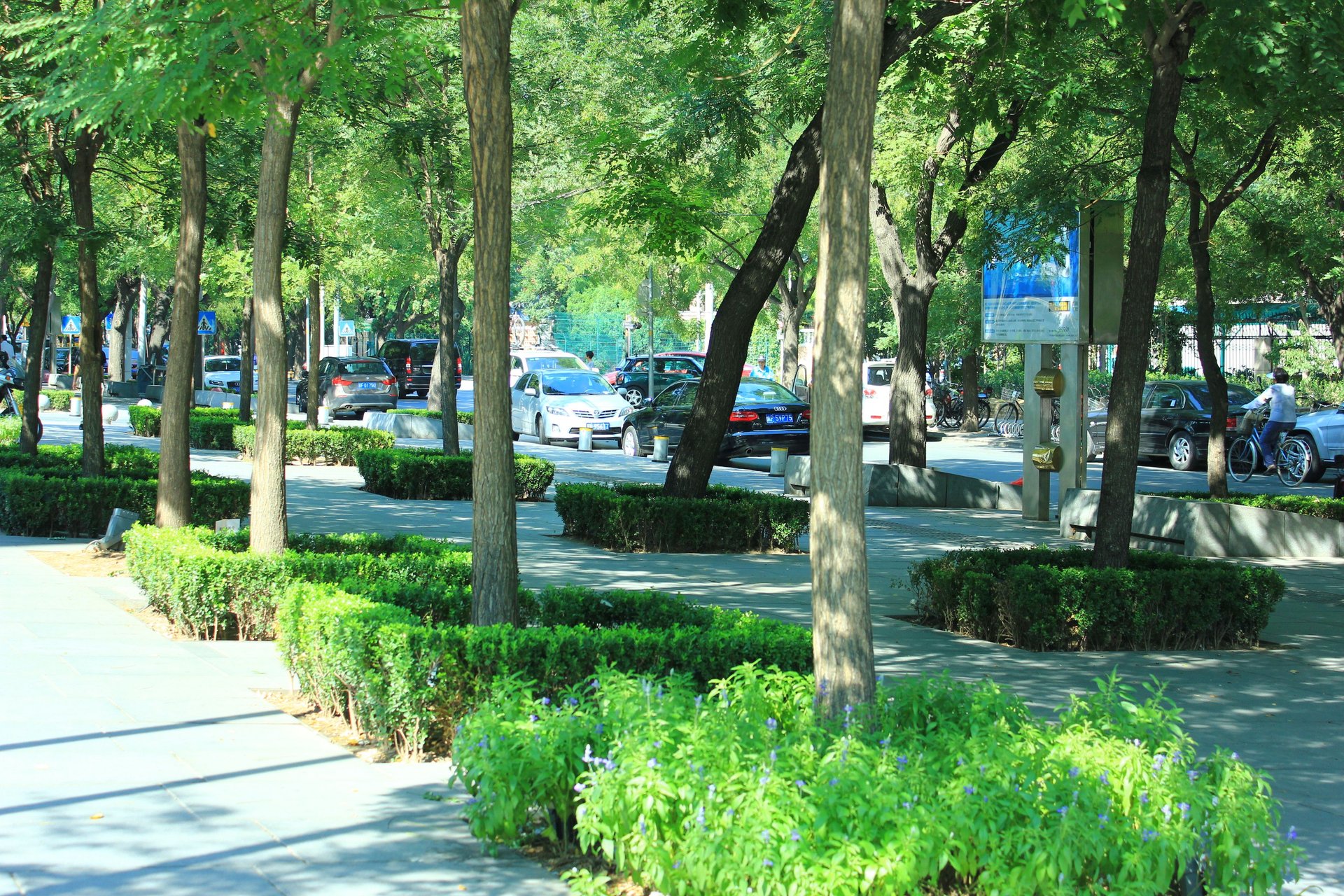 三里屯北 environment