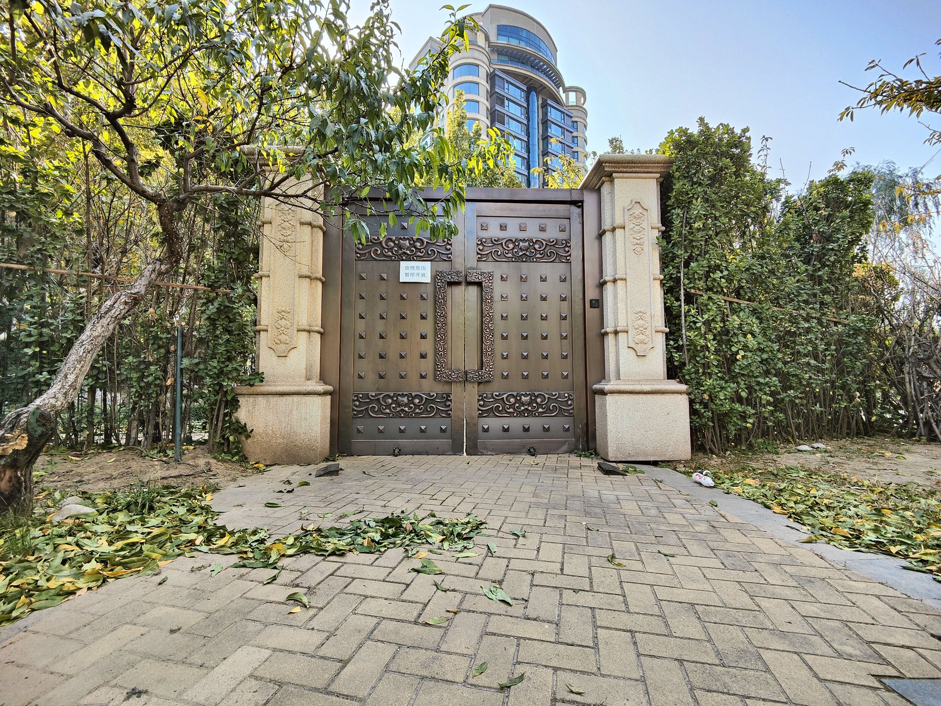 山水文园三期 environment