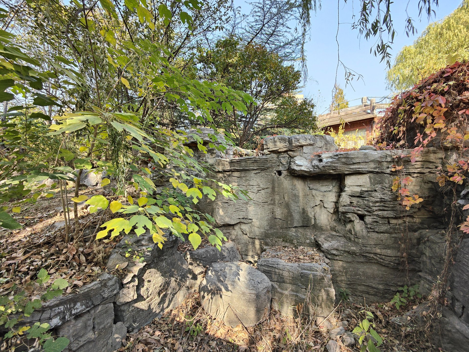 山水文园三期 environment