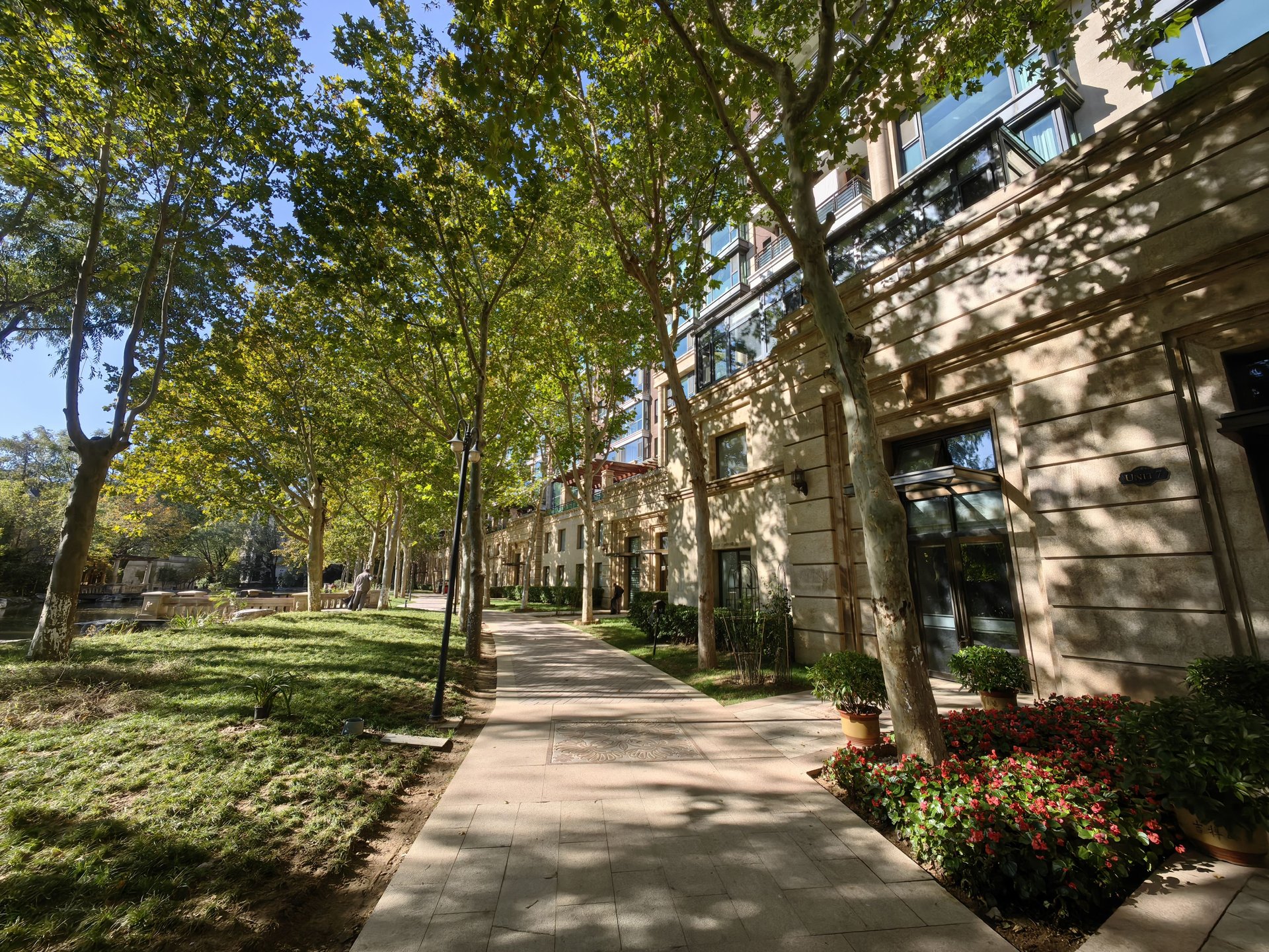 山水文园四期 environment