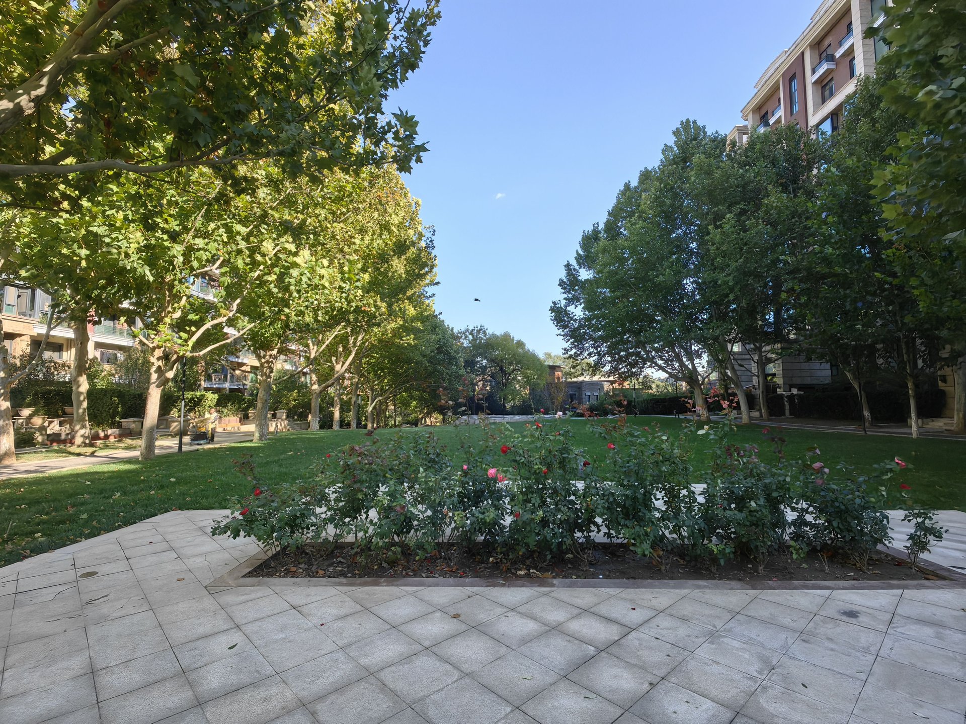 山水文园四期 environment