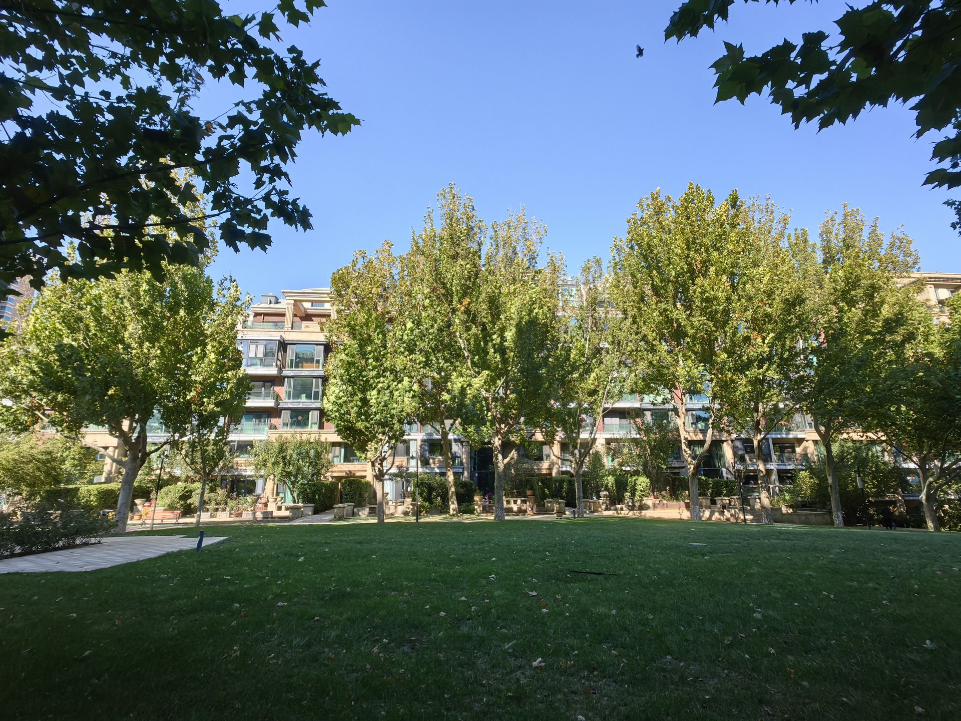 山水文园四期 environment