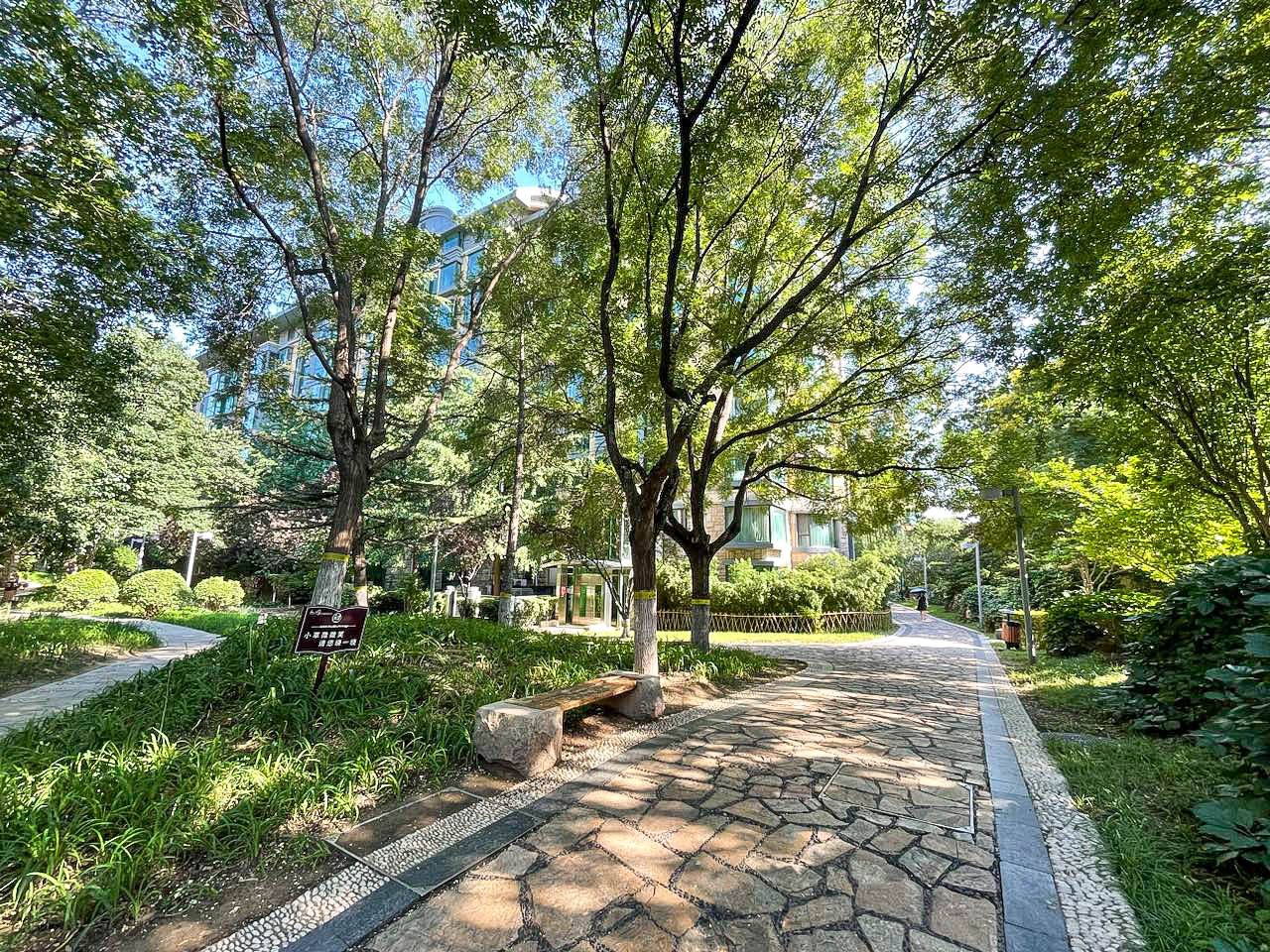 山水文园一期 environment