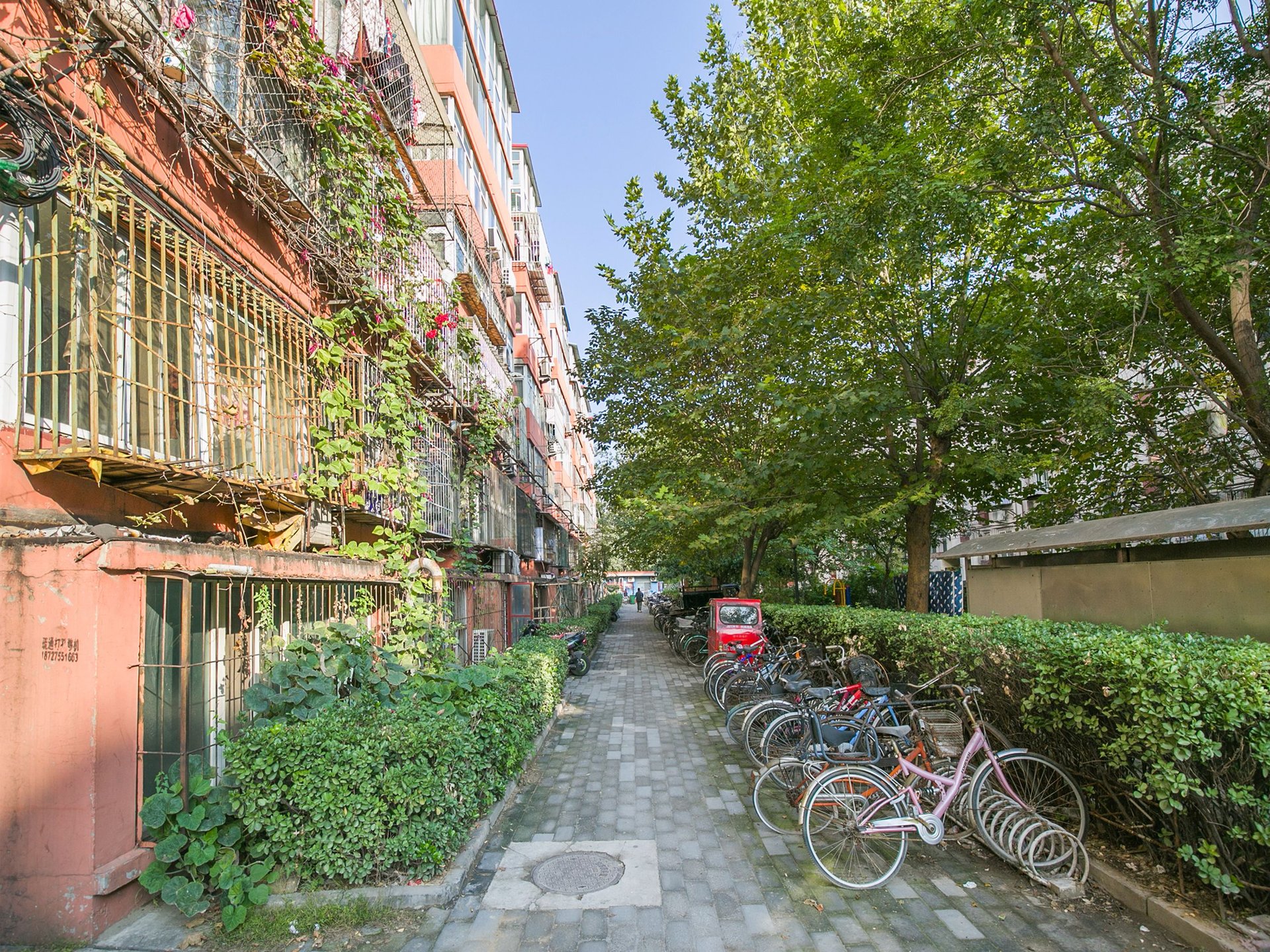 芍药居2号院 environment