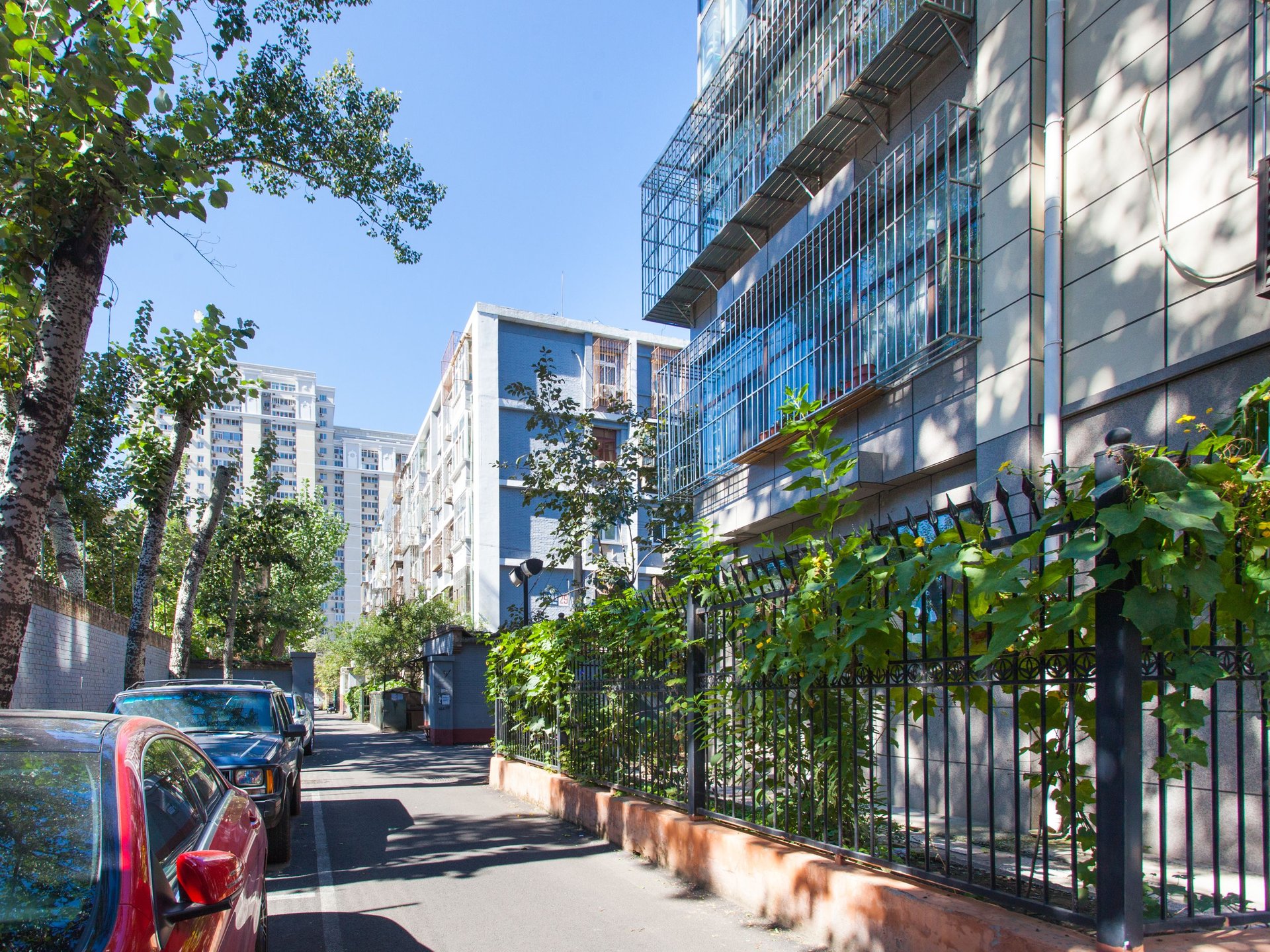 胜古南里 environment