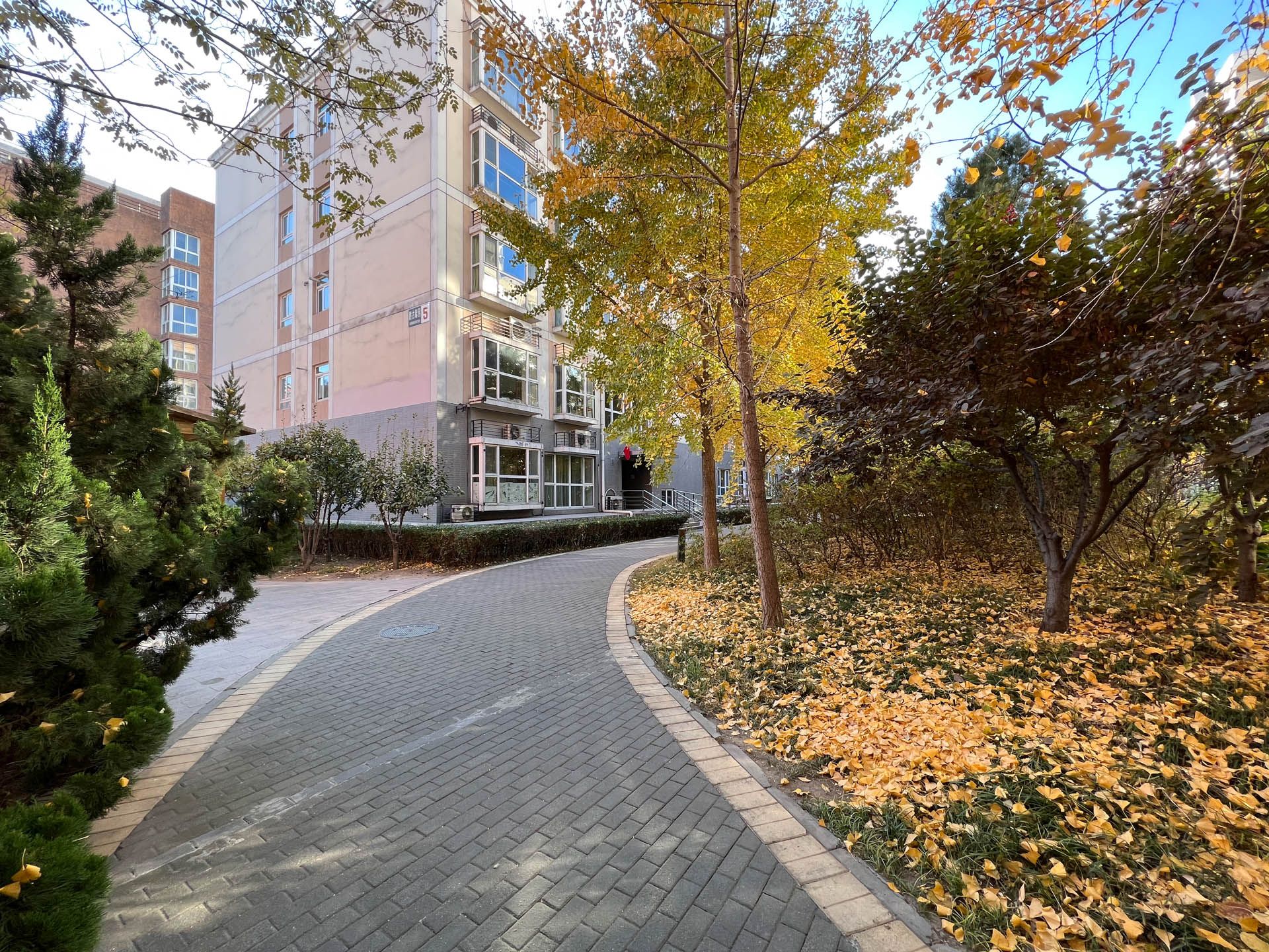 胜古馨园 environment