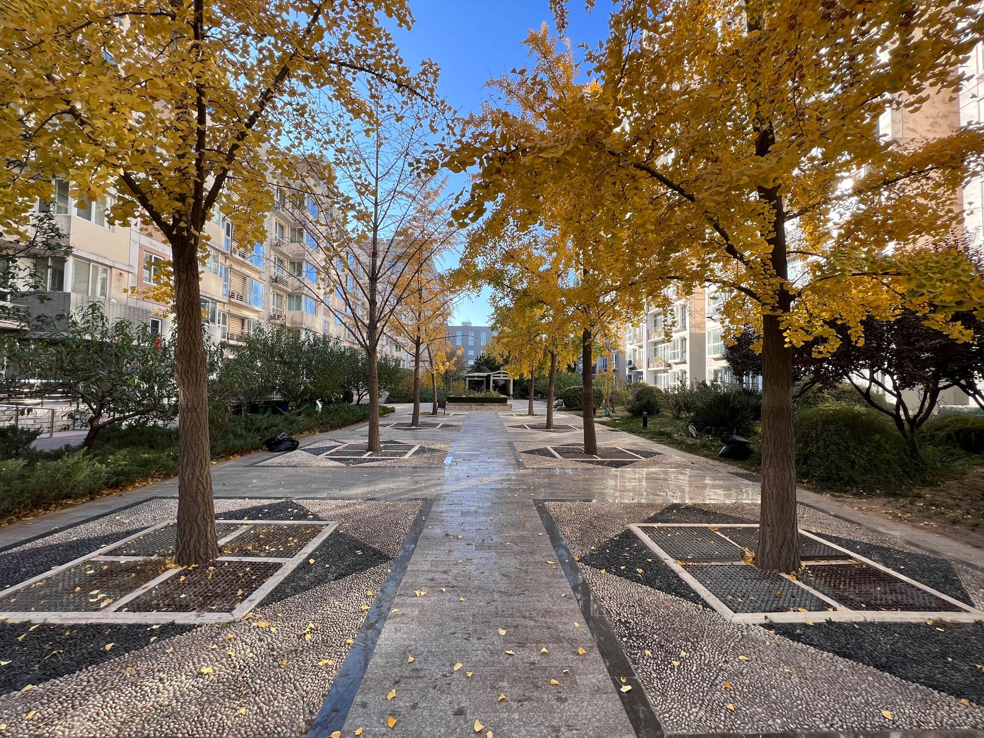 胜古馨园 environment