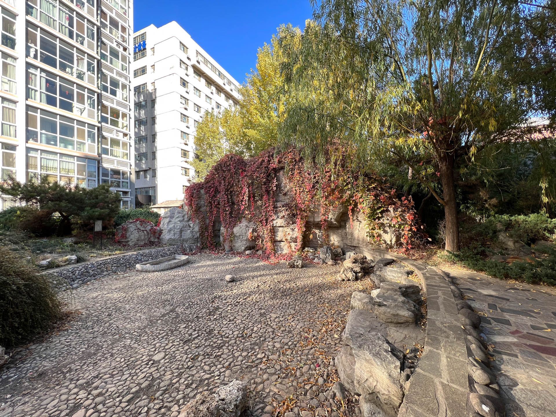 胜古馨园 environment