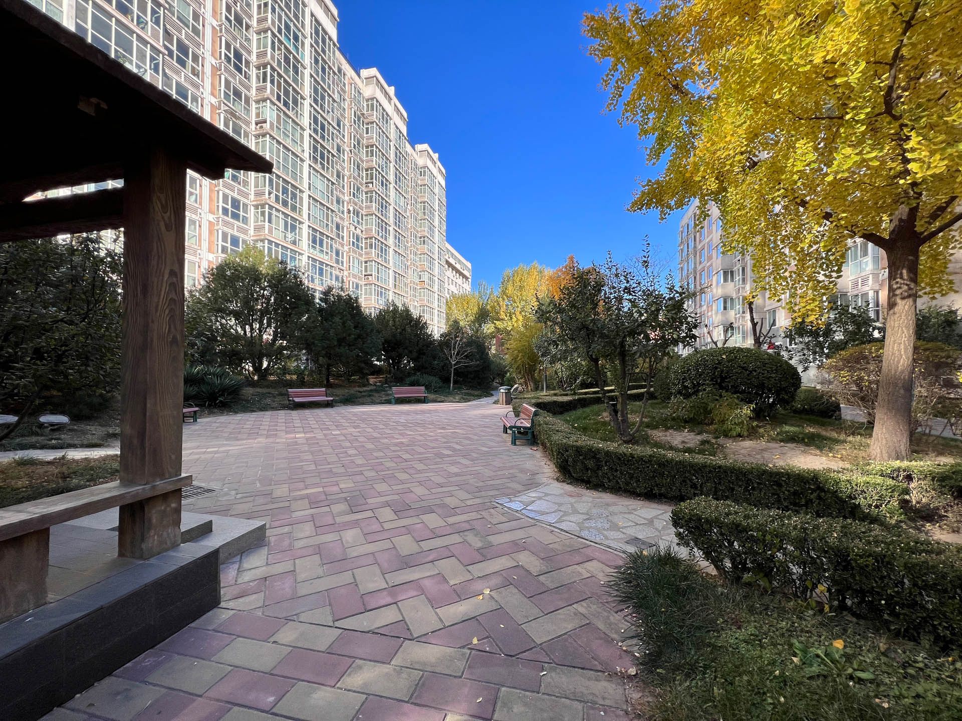 胜古馨园 environment