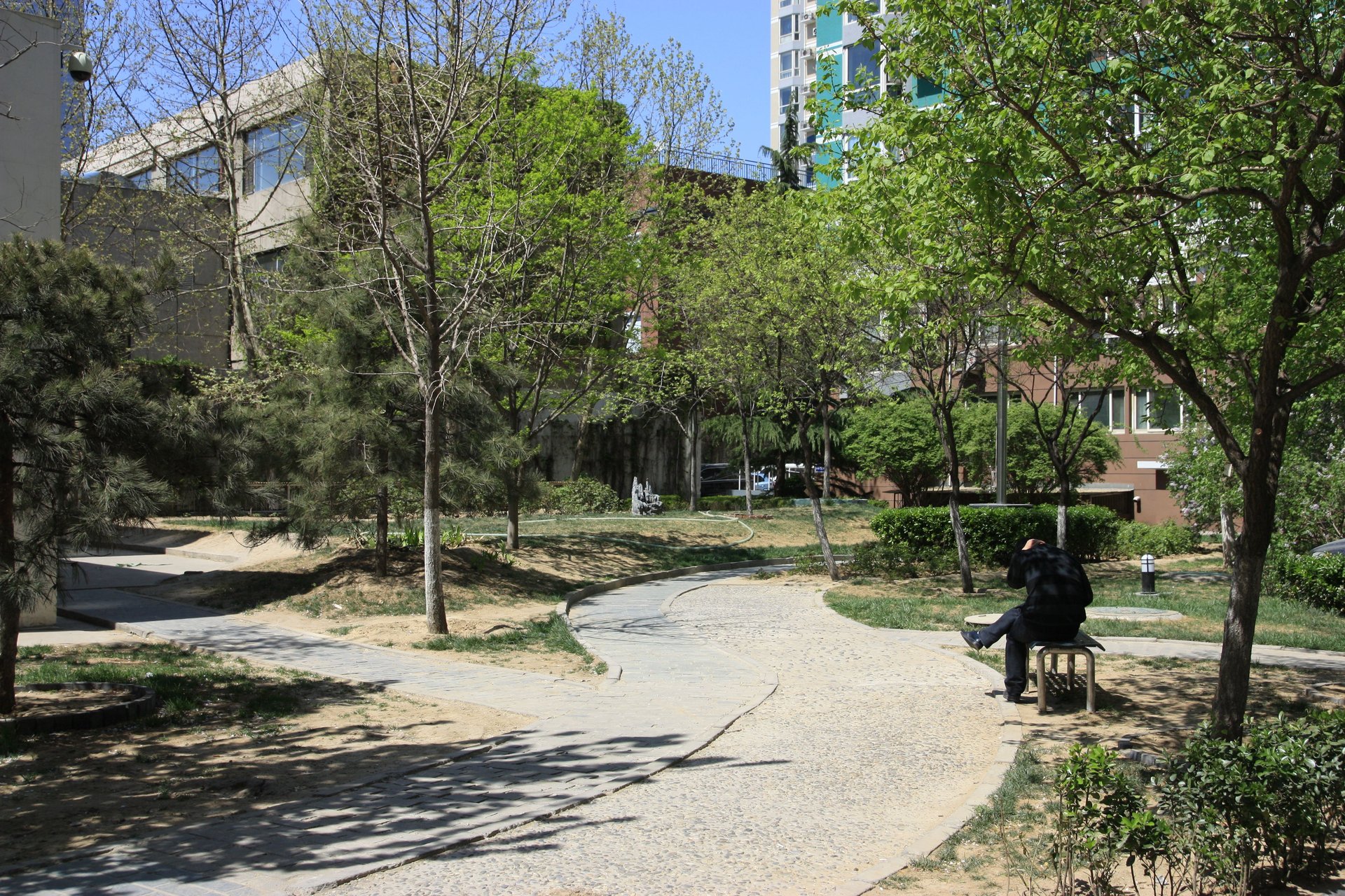 盛世嘉园 environment