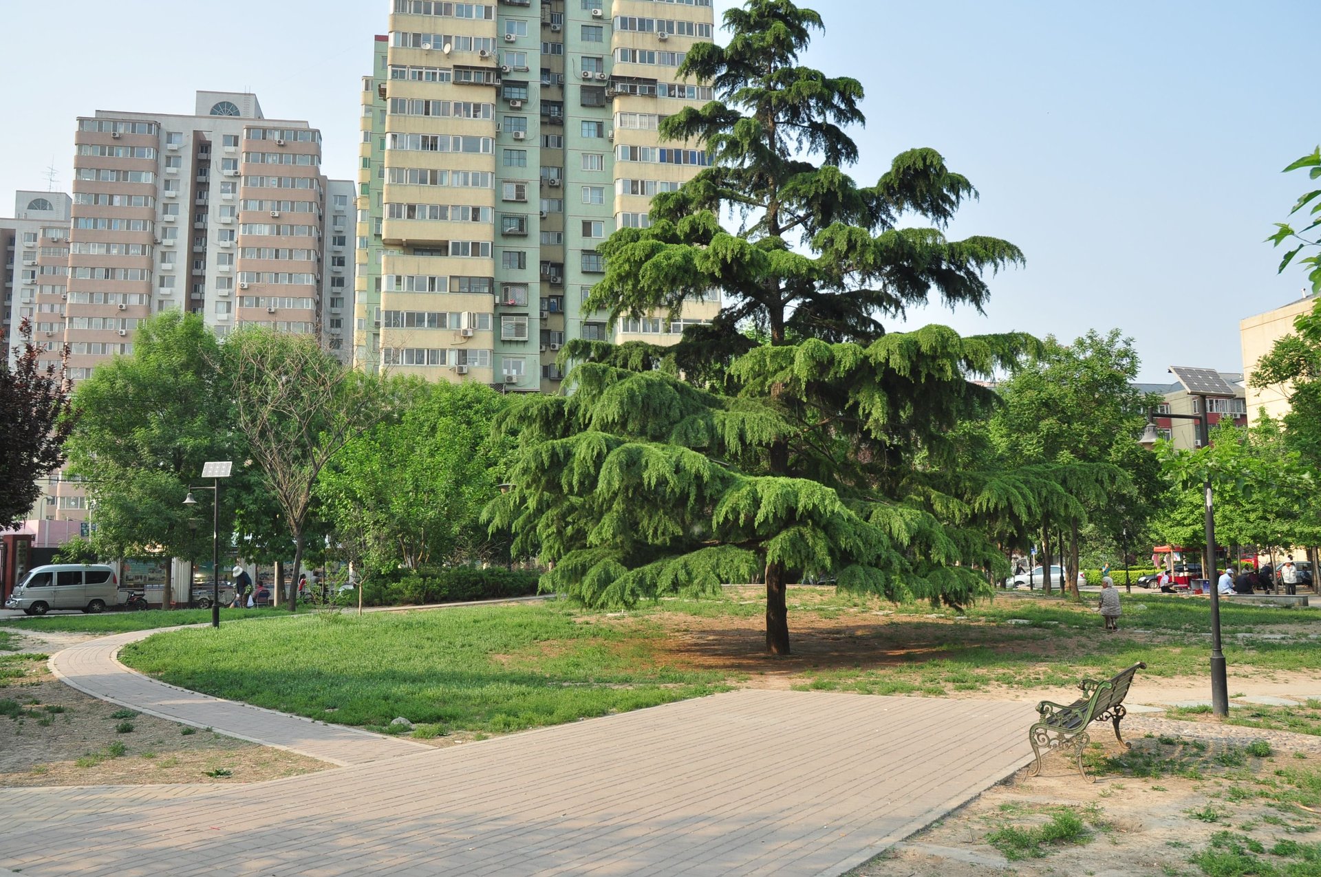 石佛营西里小区 environment