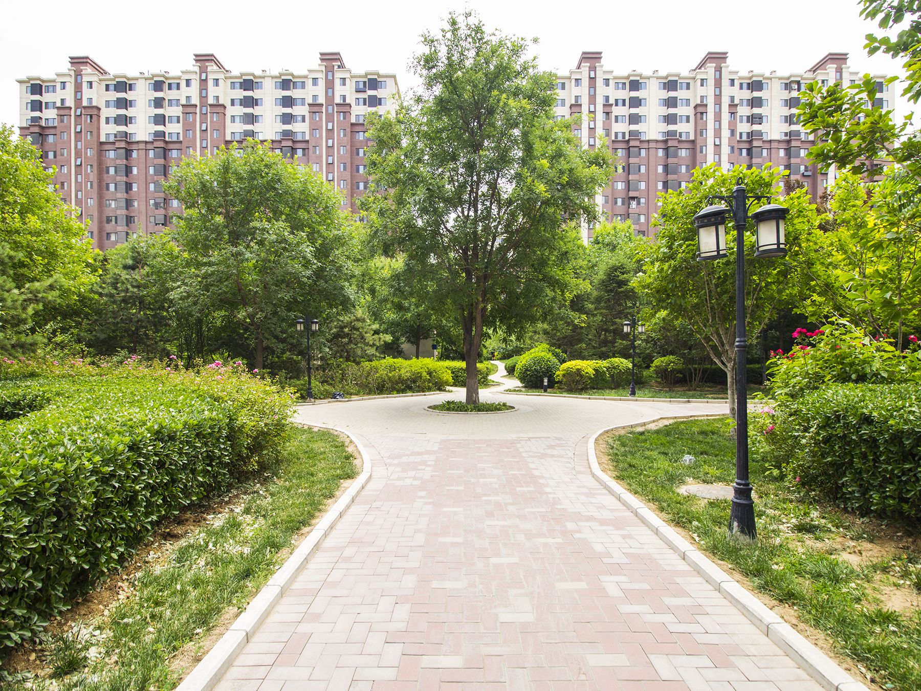 世华龙樾一期西区 environment