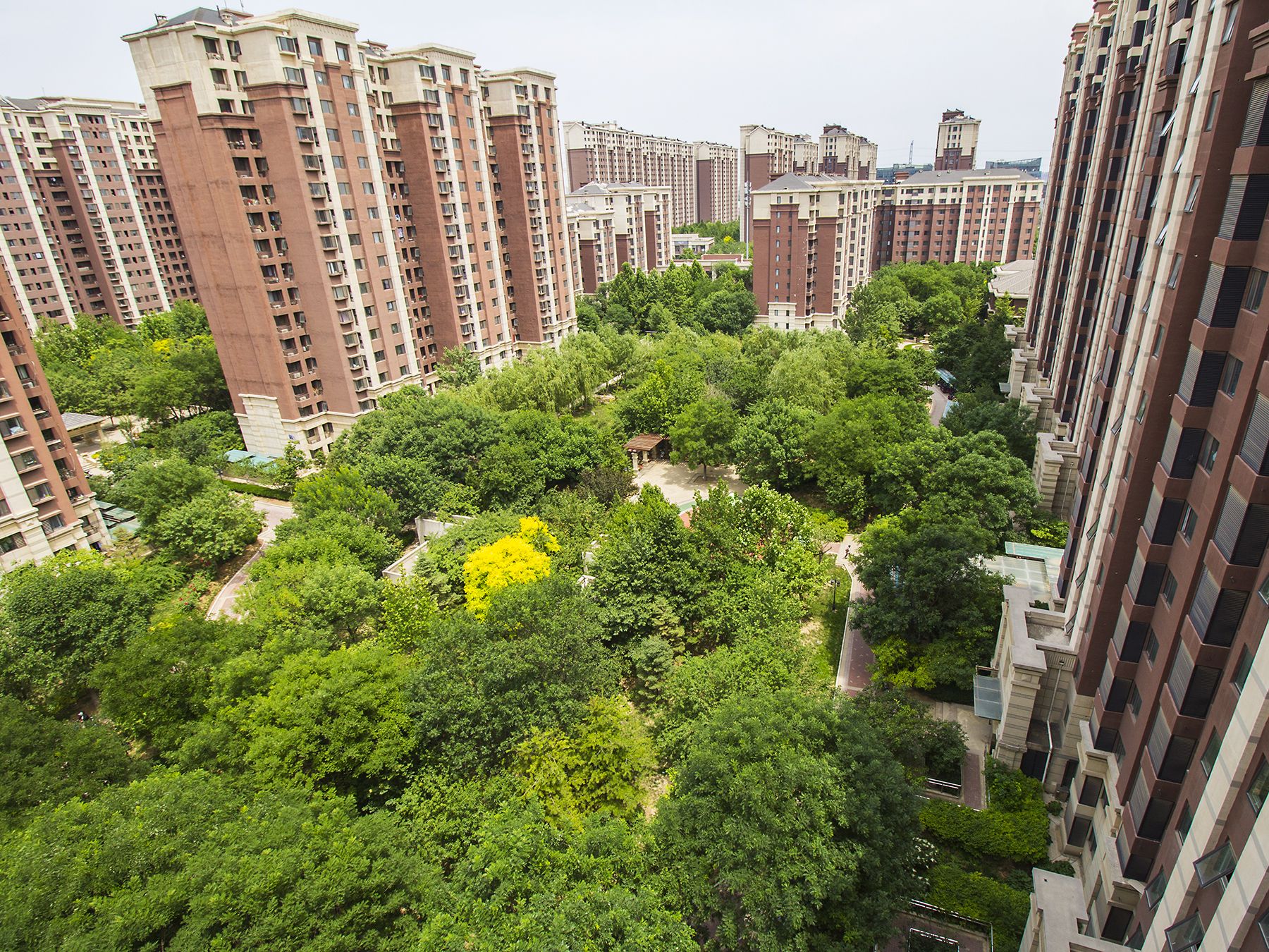 世华龙樾一期西区 environment