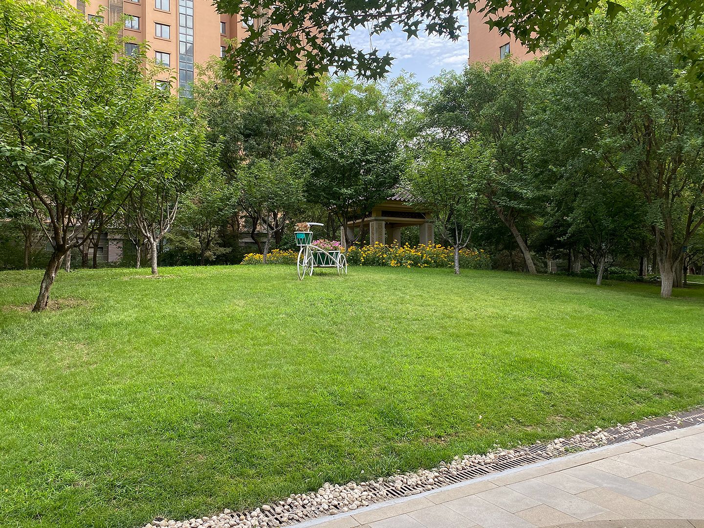 世华泊郡 environment