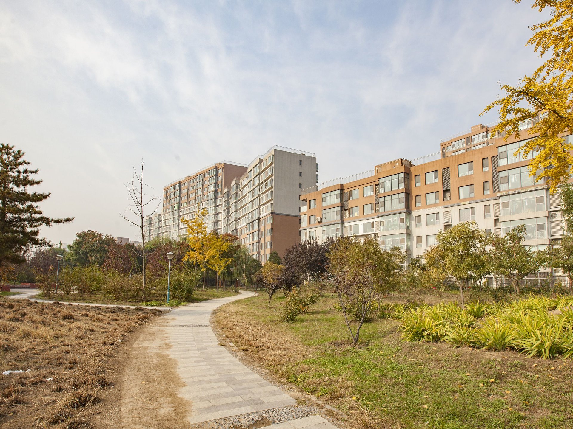 世华水岸F区 environment