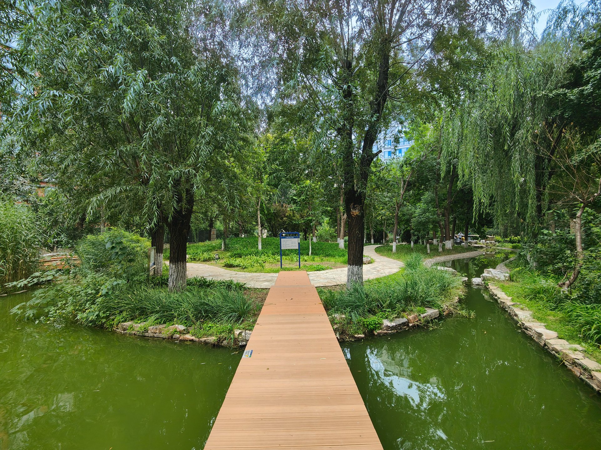 世纪东方城北区 environment