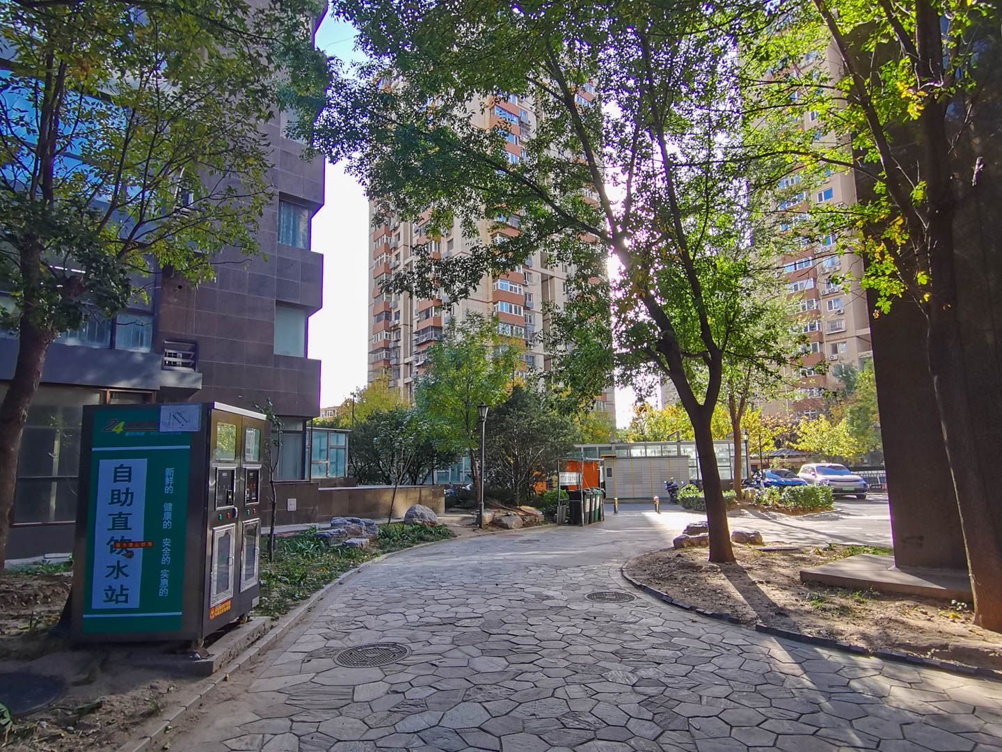 诗景长安 environment