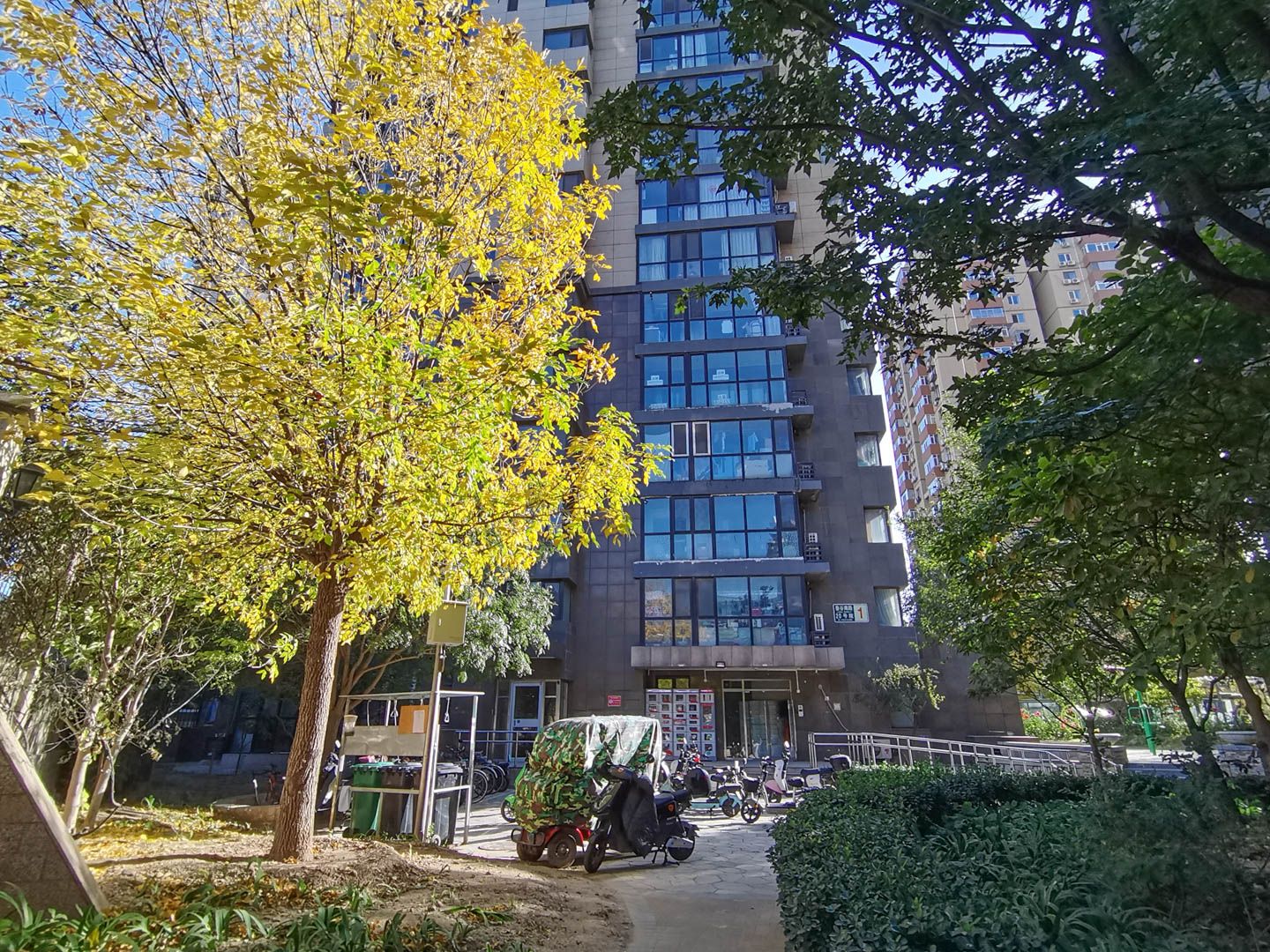 诗景长安 environment