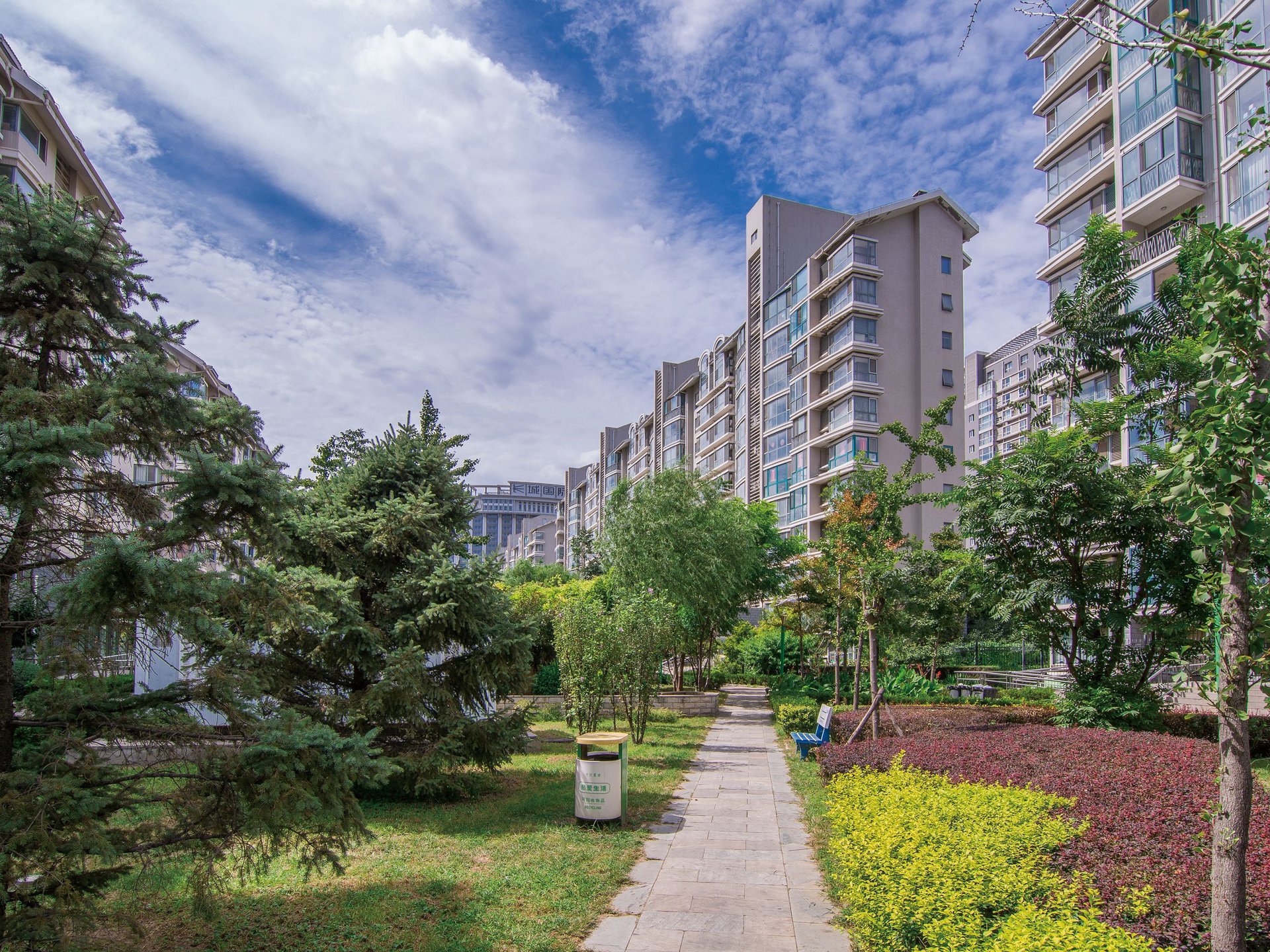 世纪星城 environment