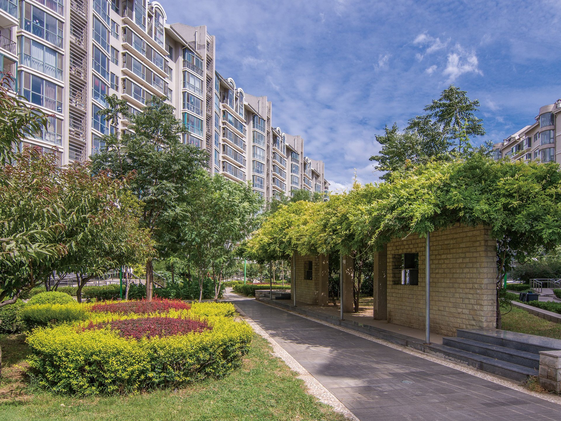 世纪星城 environment