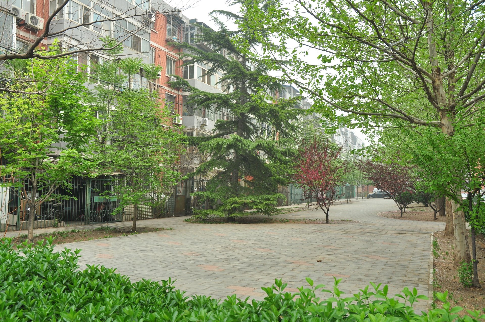 十里堡北里 environment