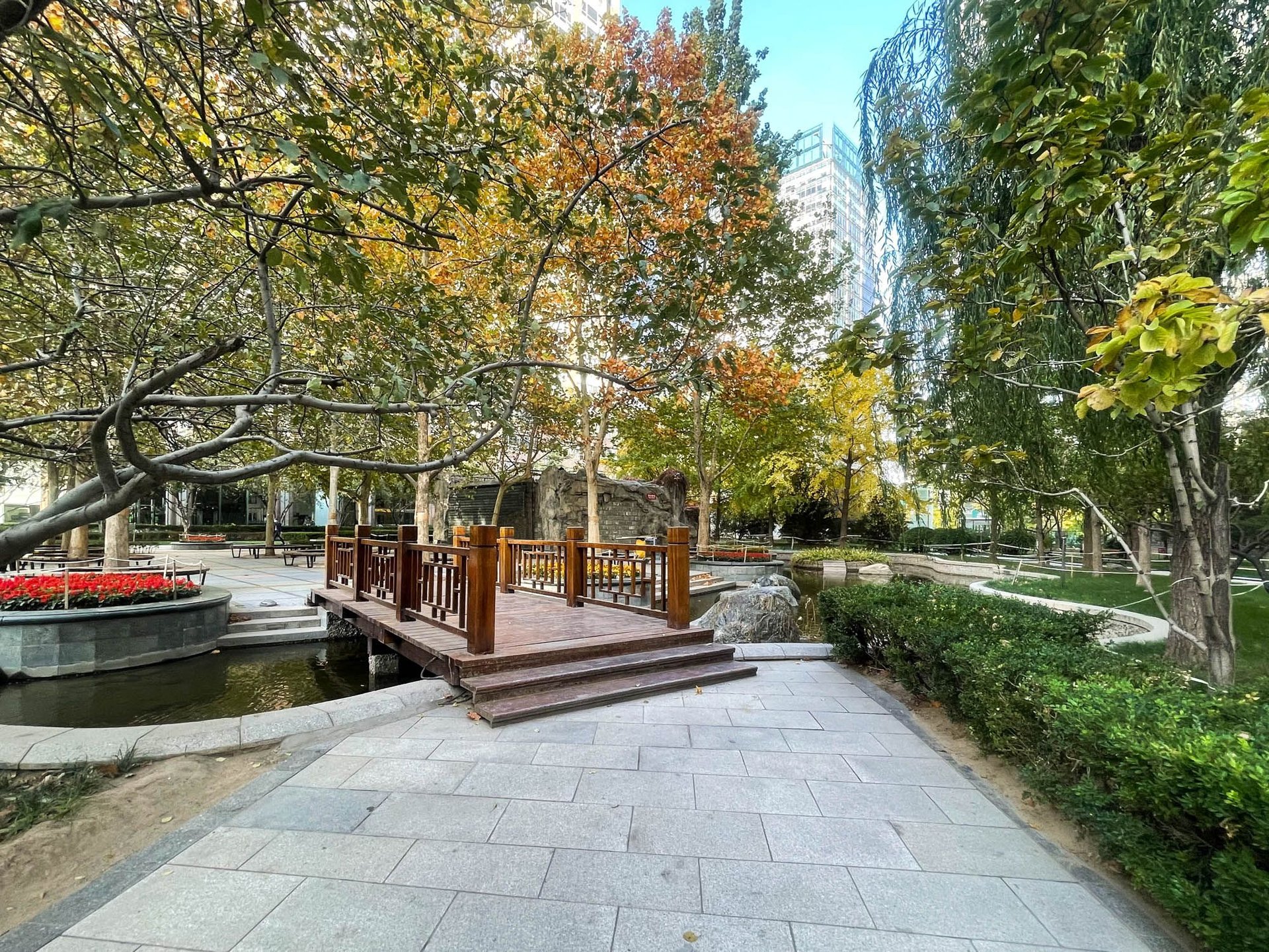 世贸国际公寓 environment