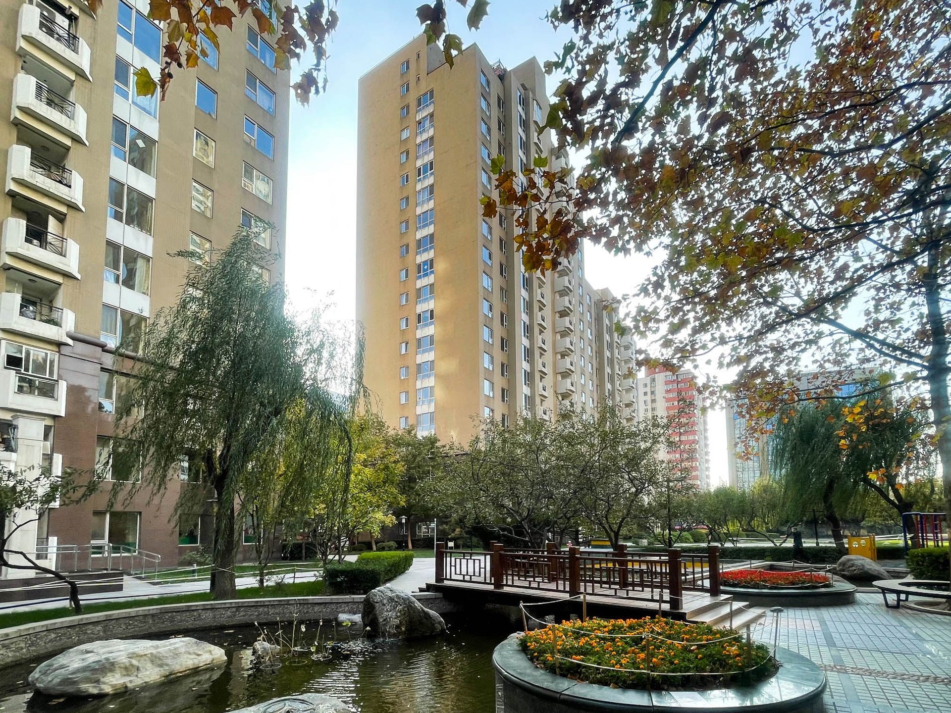 世贸国际公寓 environment