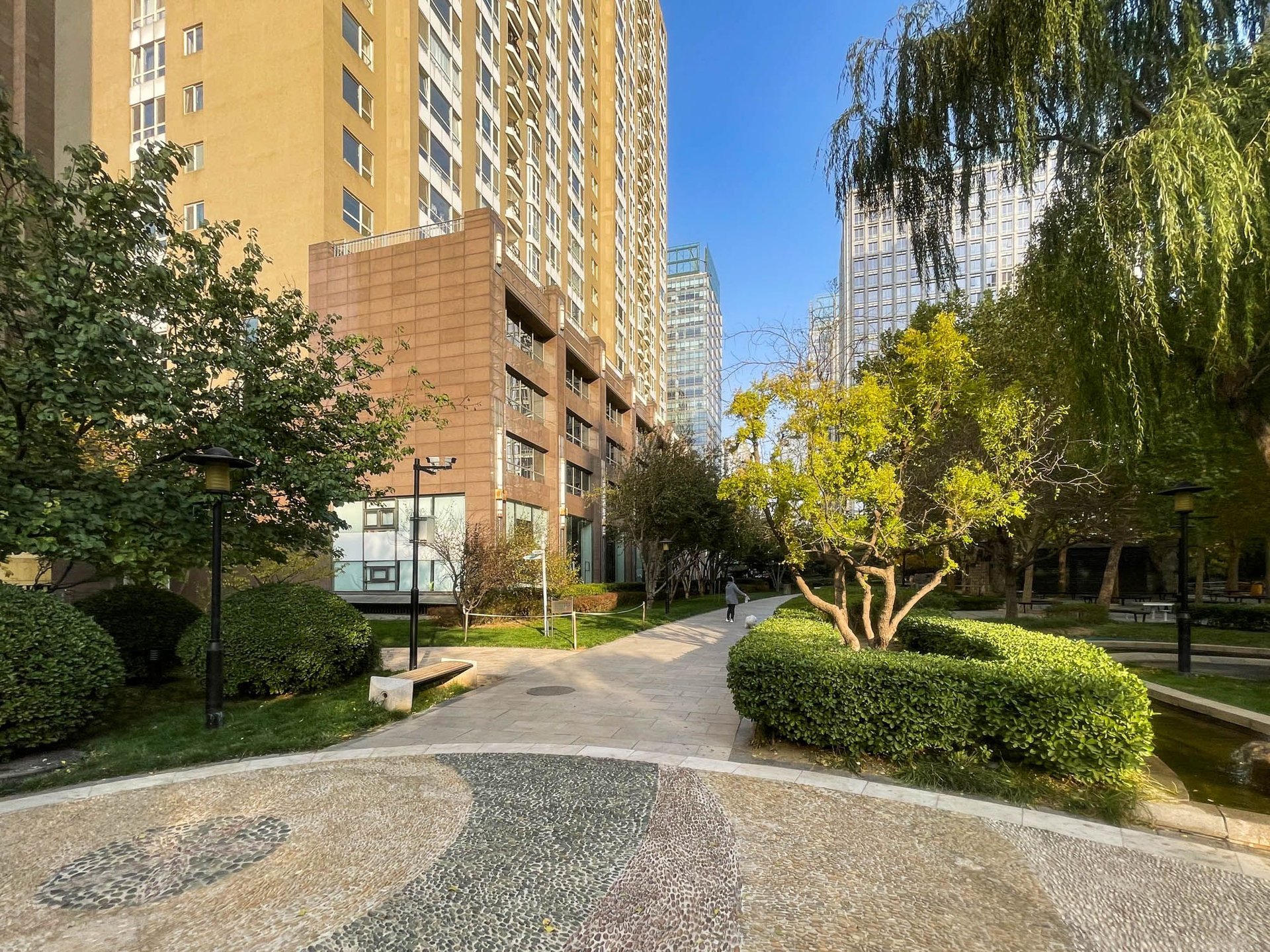 世贸国际公寓 environment