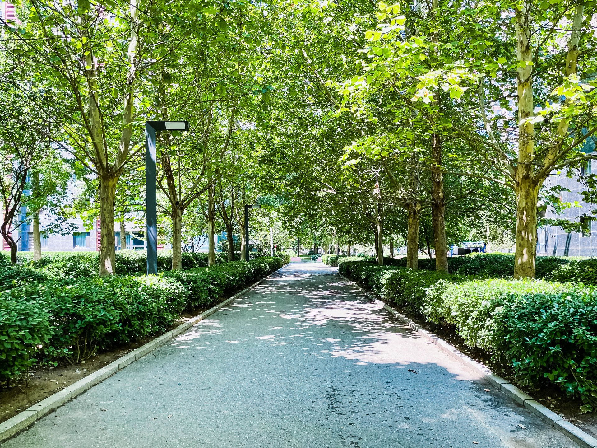 首城国际B区 environment