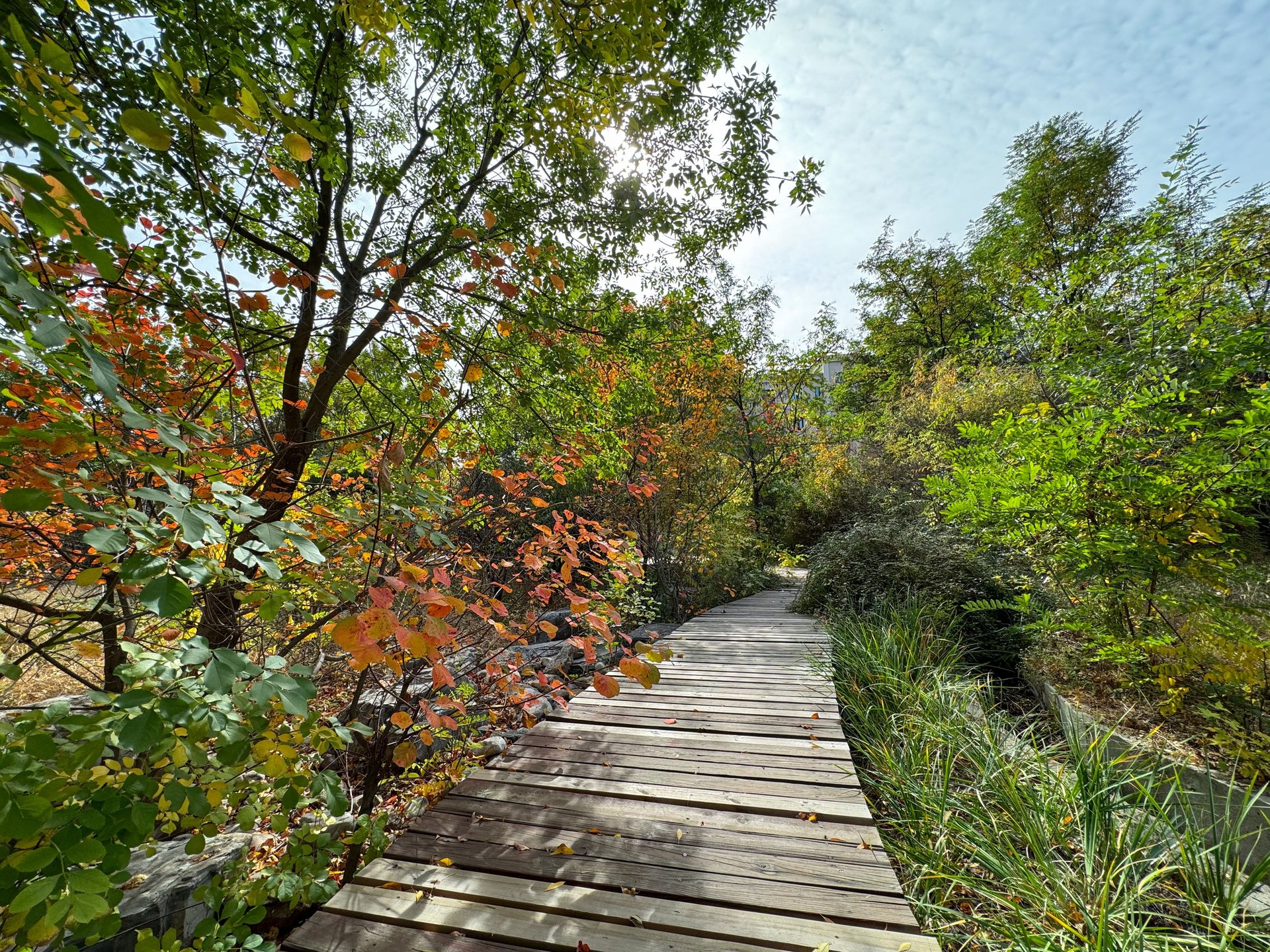 首创澜茵山二期 environment