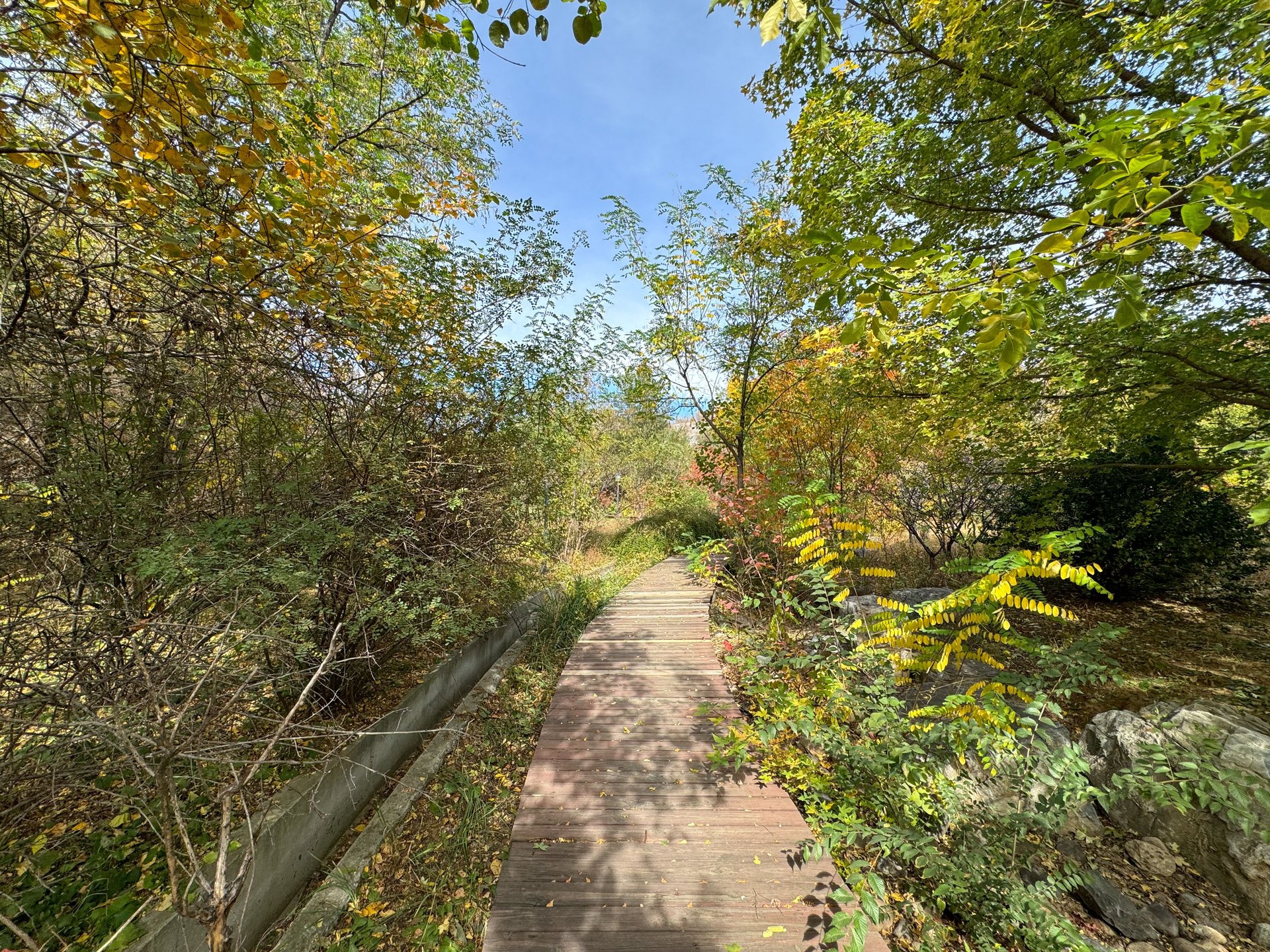 首创澜茵山二期 environment