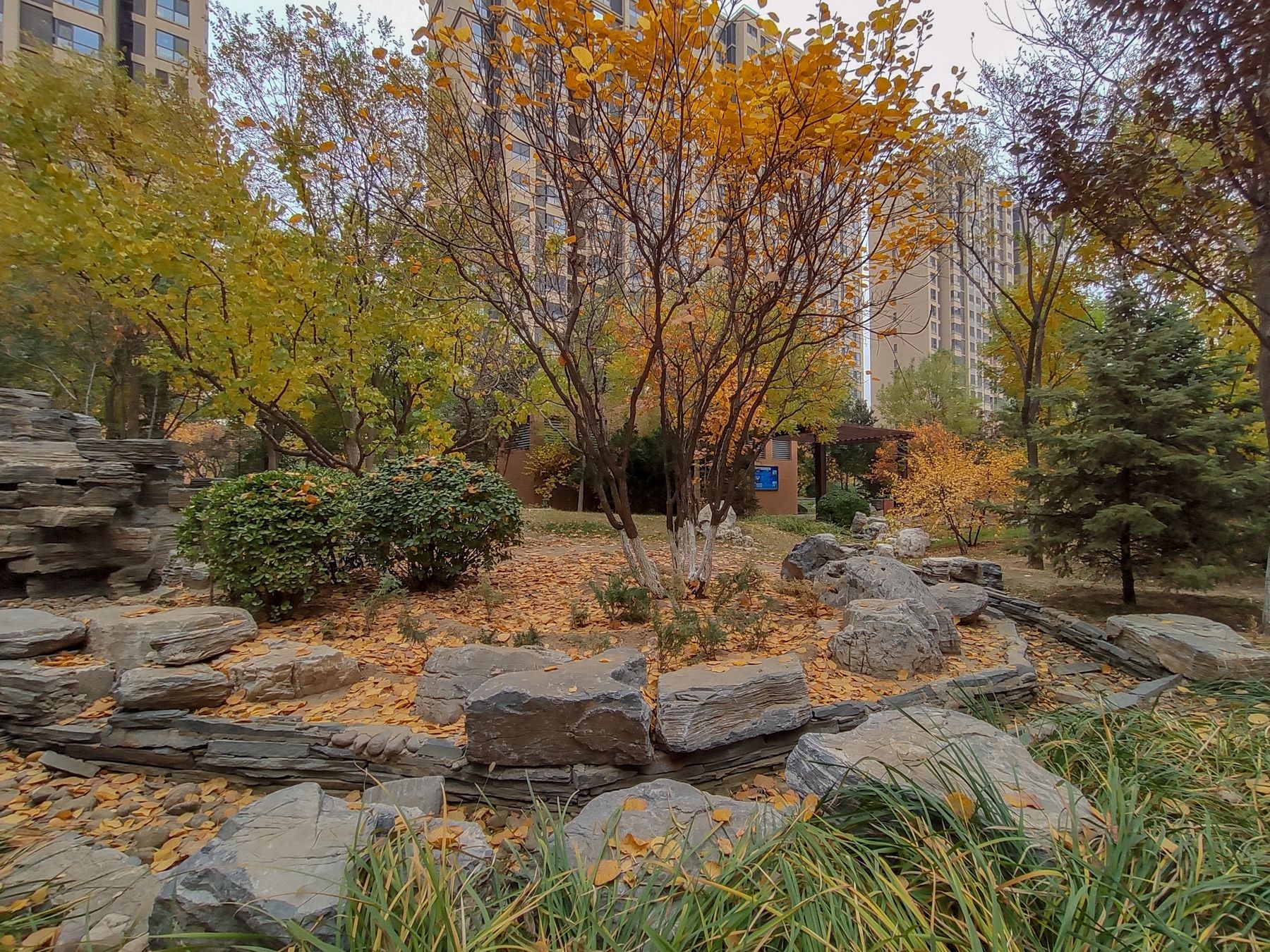 首开熙悦山澜庭 environment