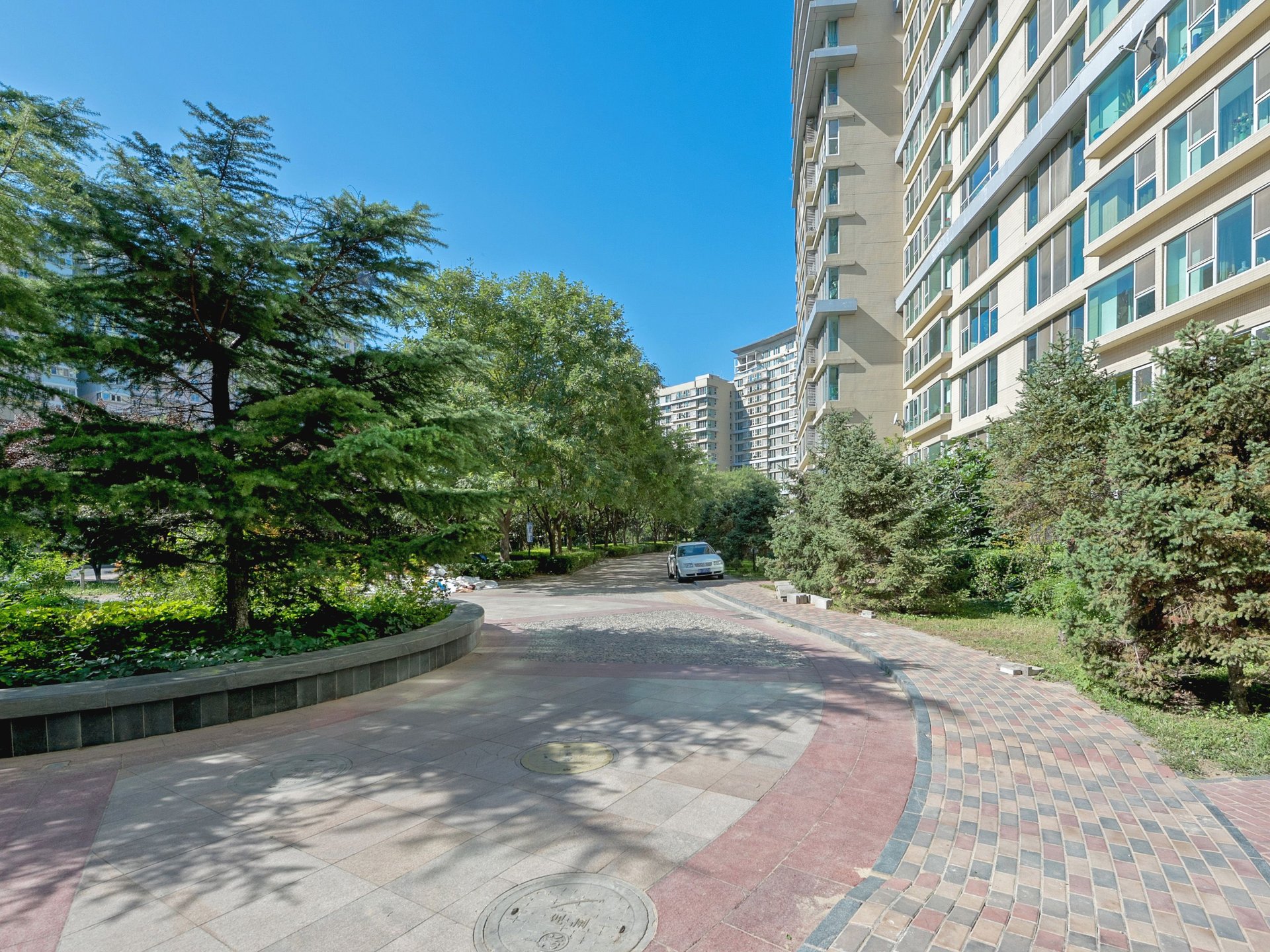 曙光花园 environment