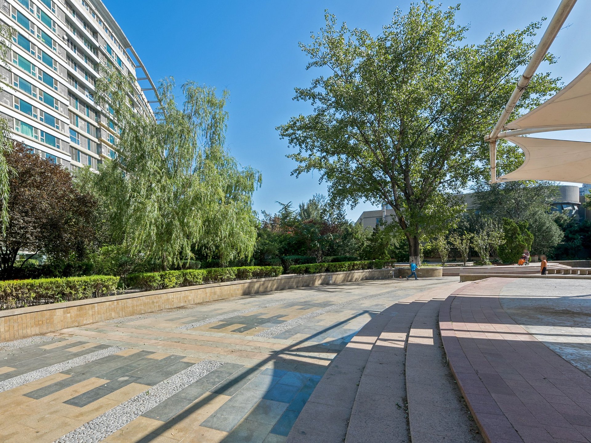 曙光花园 environment