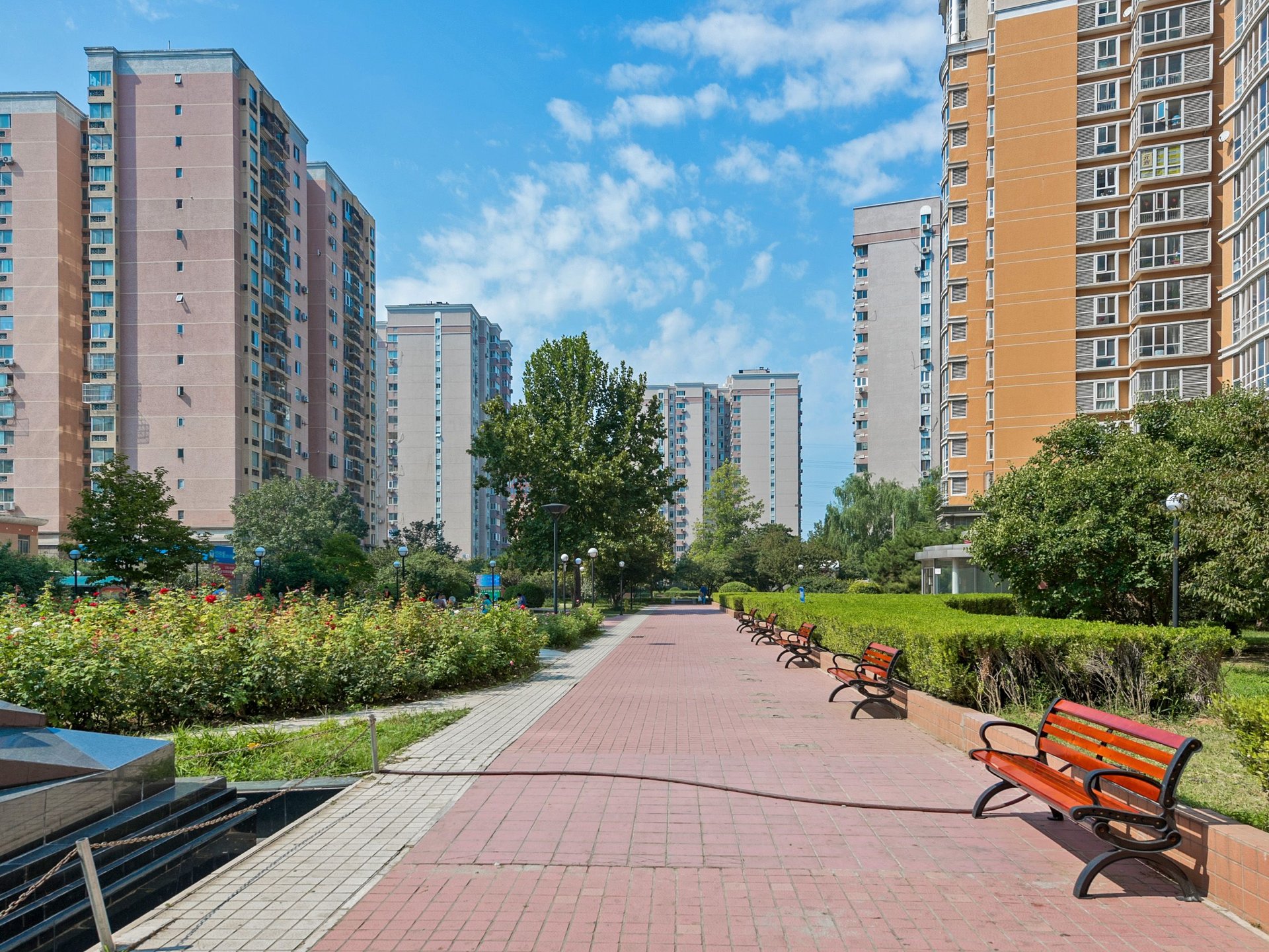 曙光花园 environment