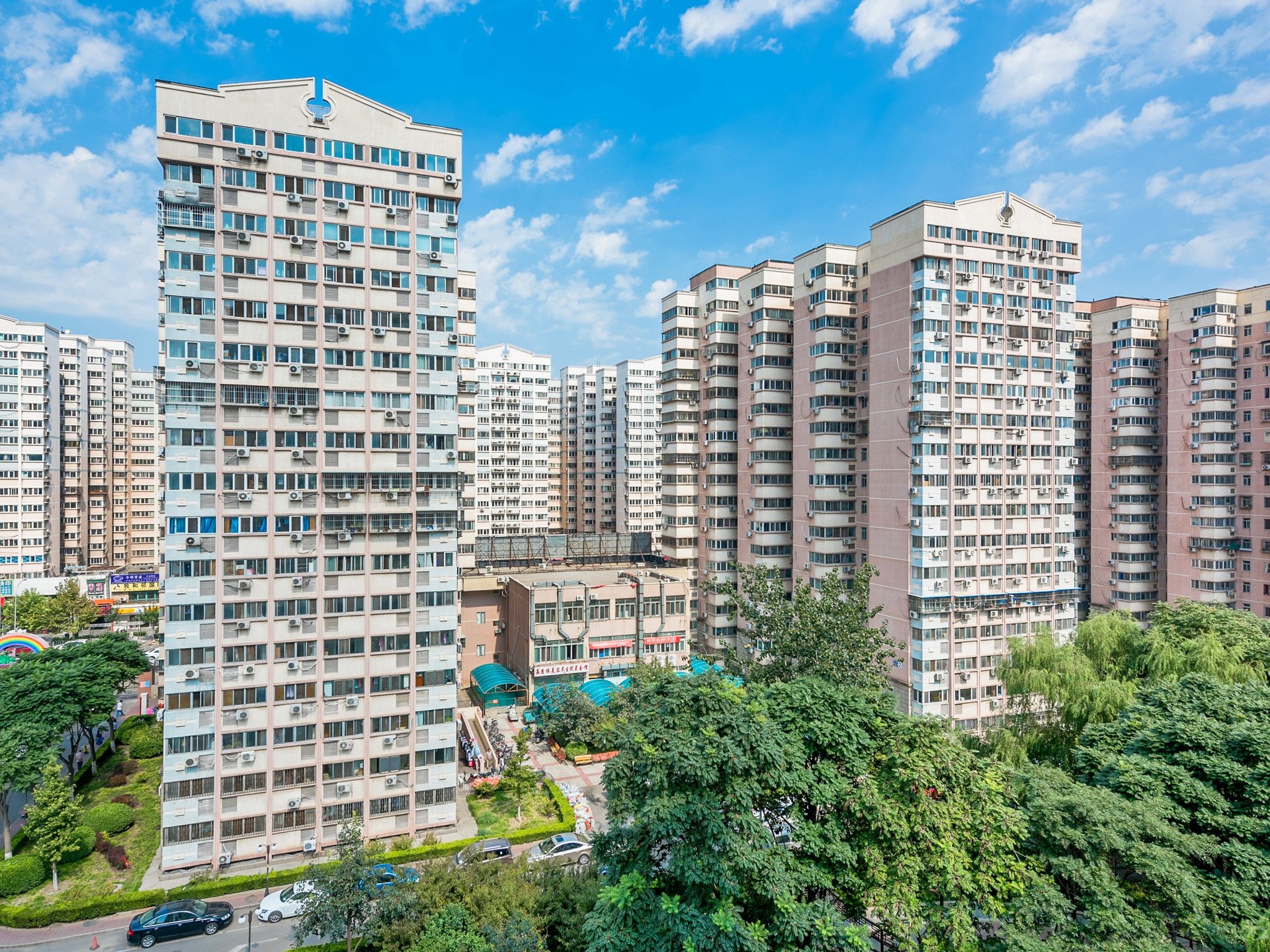 曙光花园 environment