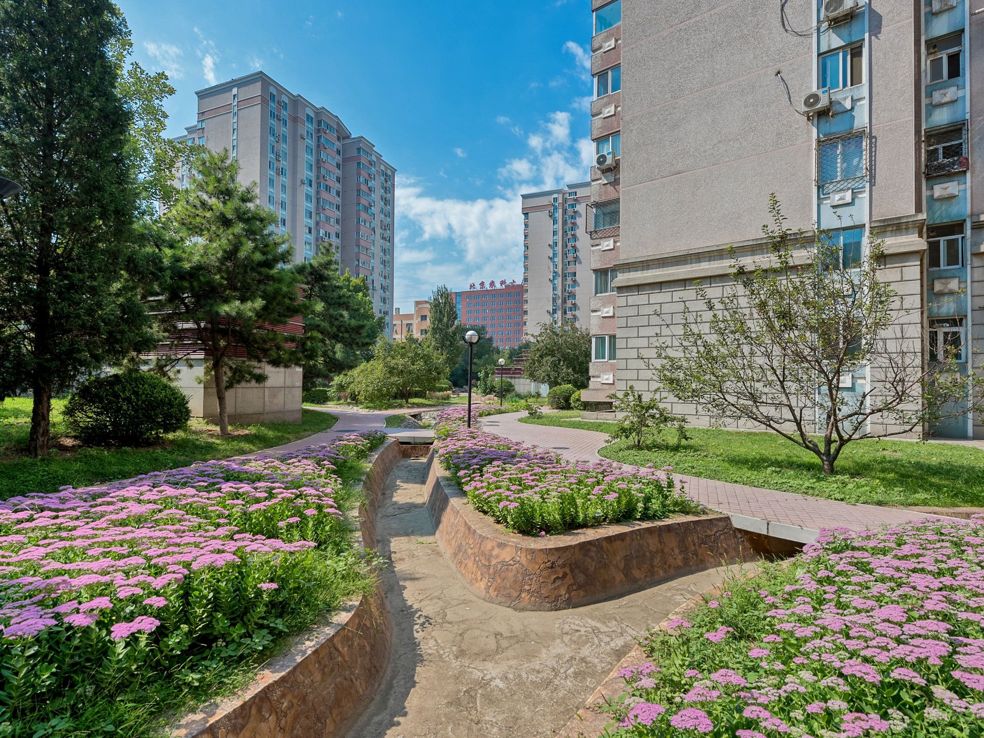 曙光花园 environment